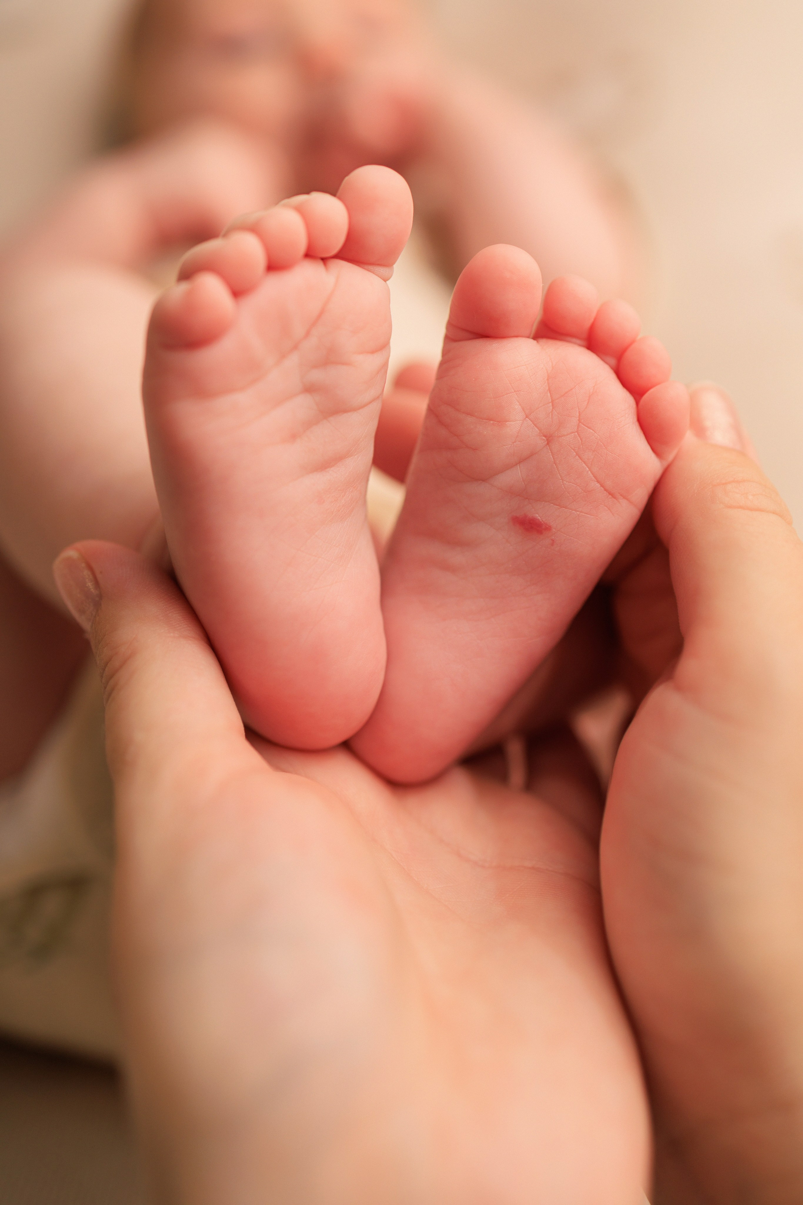 Новорожденные. Фотограф новорожденных Мари Масик  Ростов-на-Дону