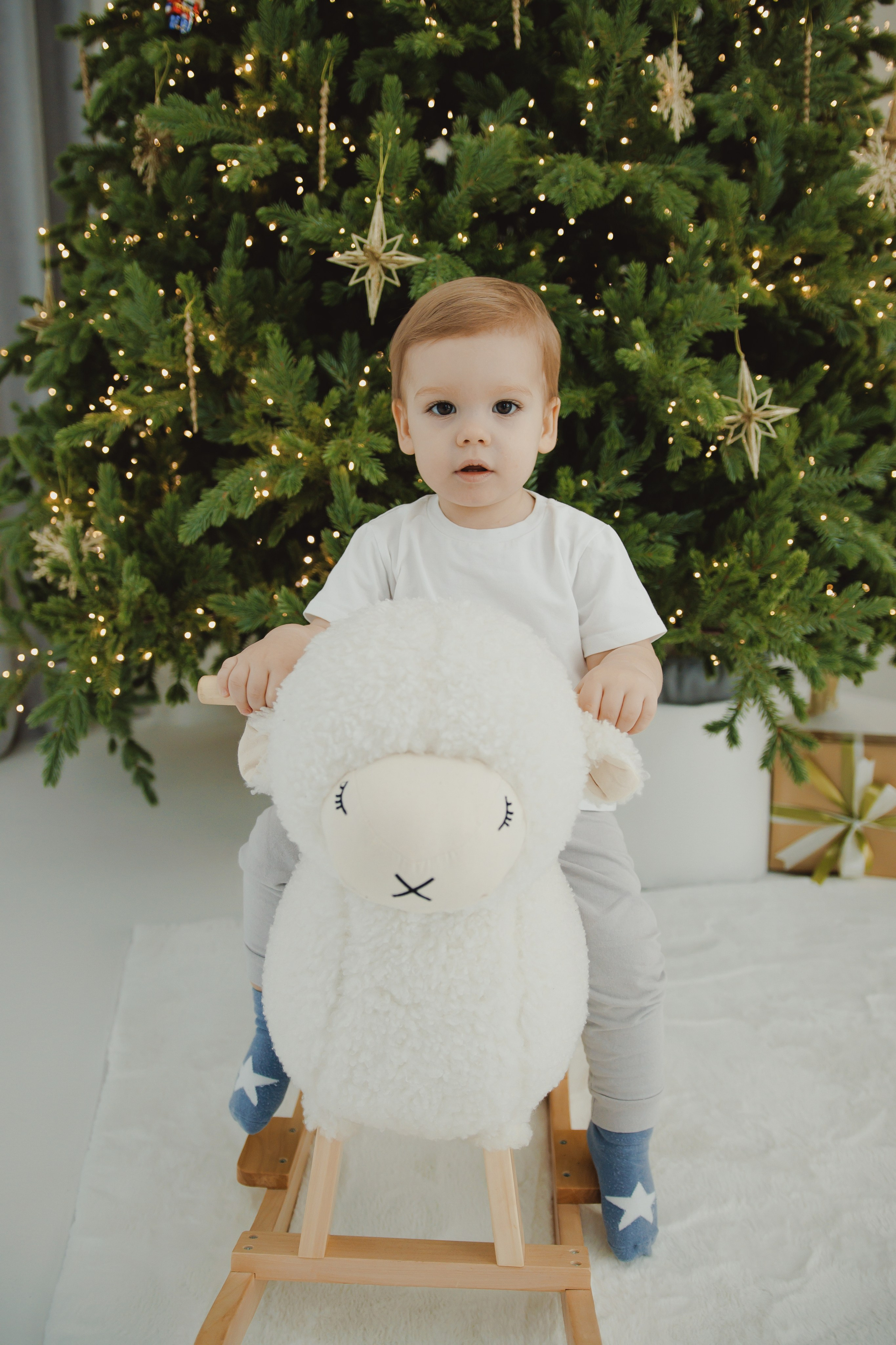 Семейная новогодняя. Диана фотограф в Краснодаре