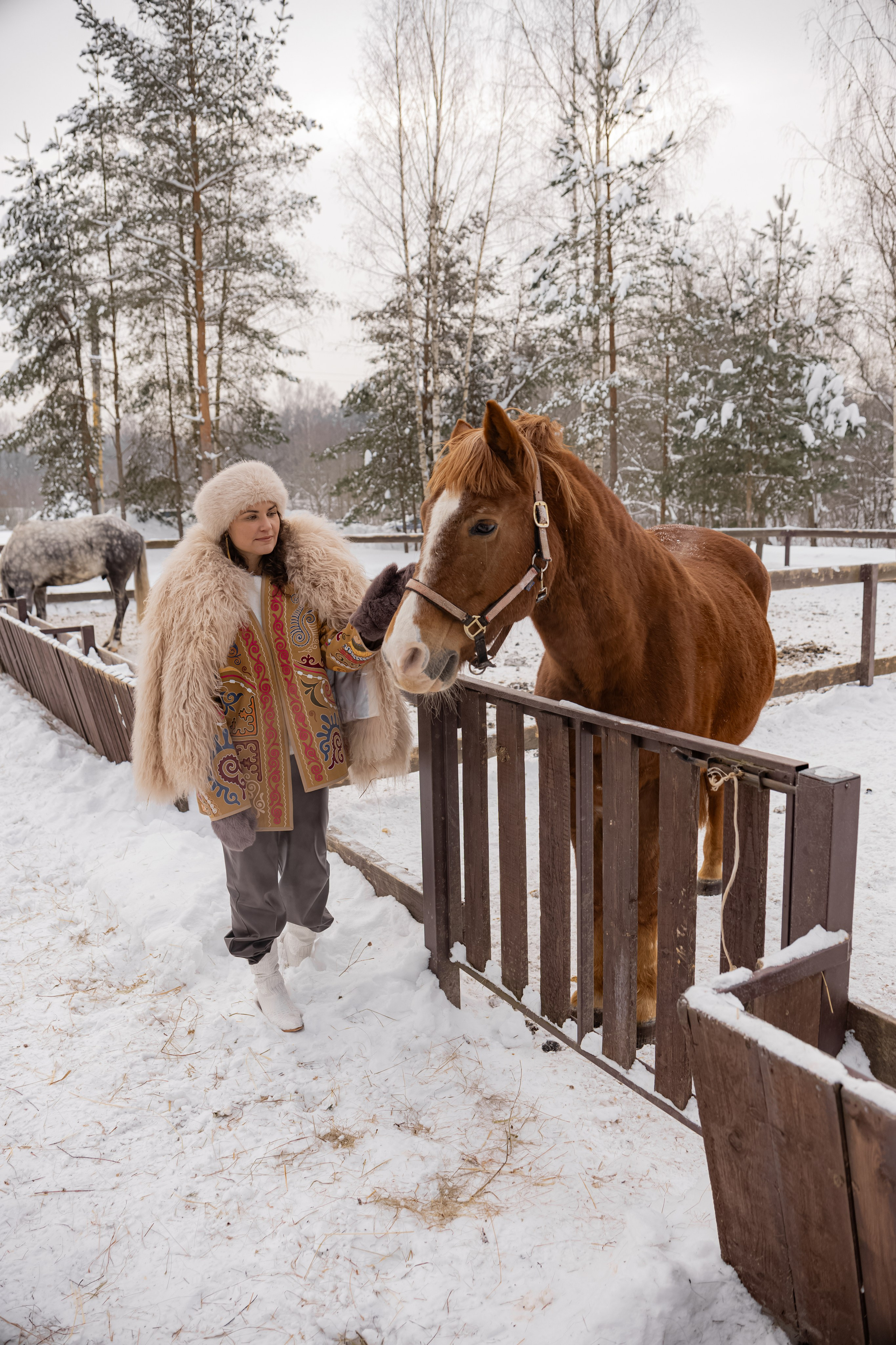 Фотосессия с лошадками. Семейный, детский фотограф в Твери Кираева Лилия