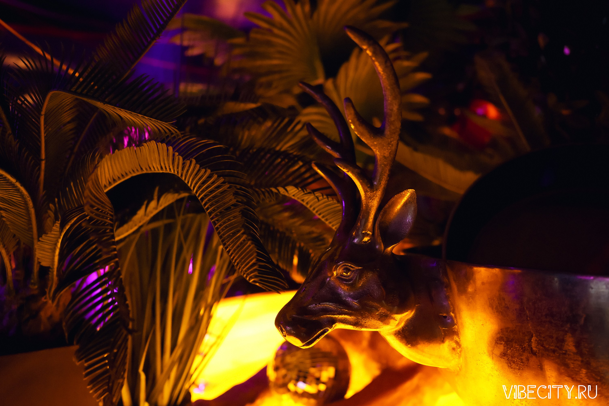 DOUBLE U. VIBECITY.RU Вайб Сити Ру Фоторепортажи Фотоотчеты Калининград