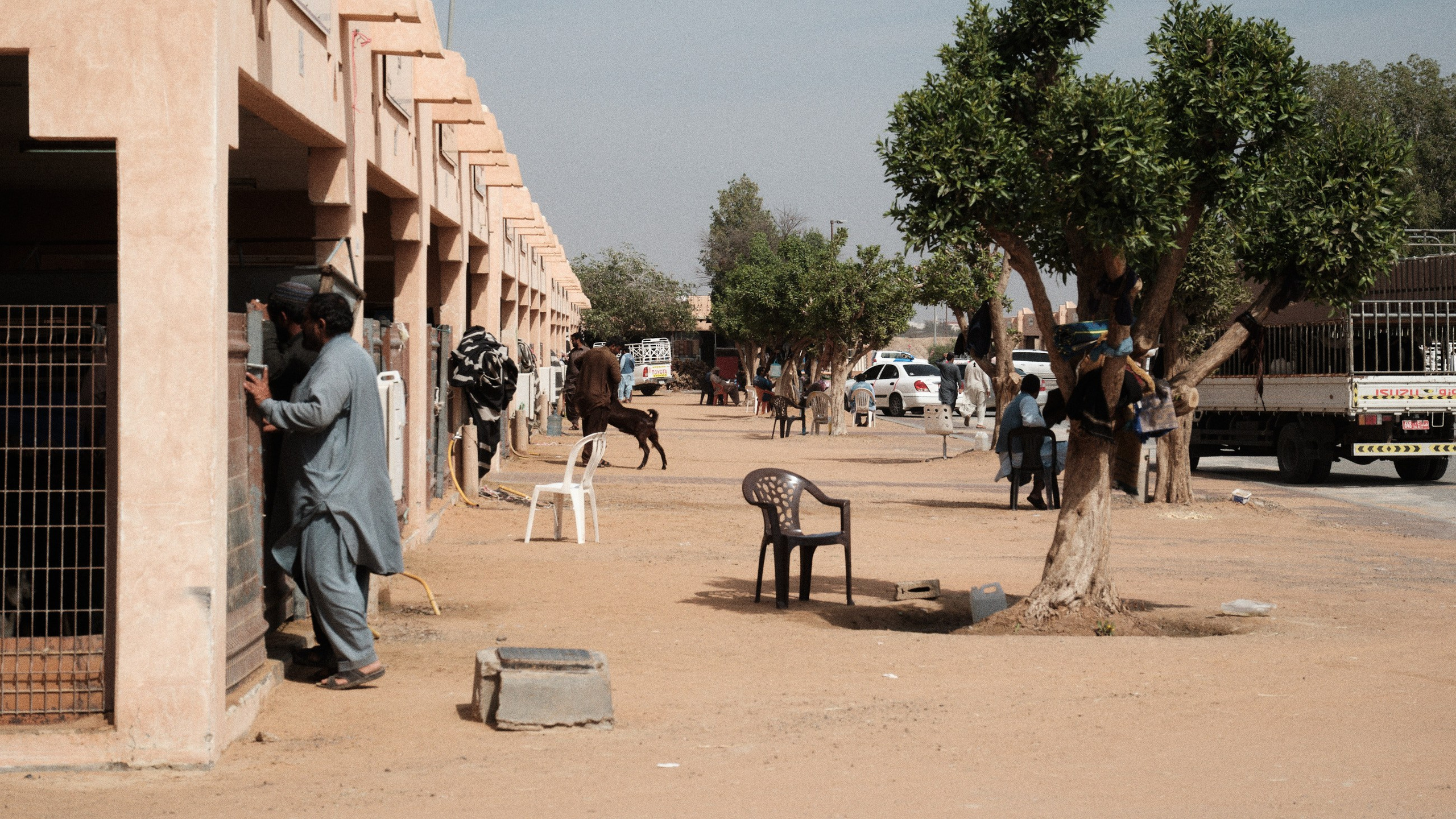 Оман. ОАЭ. Катар. Бахрейн. Юрий Березнюк. Фотожурналистика