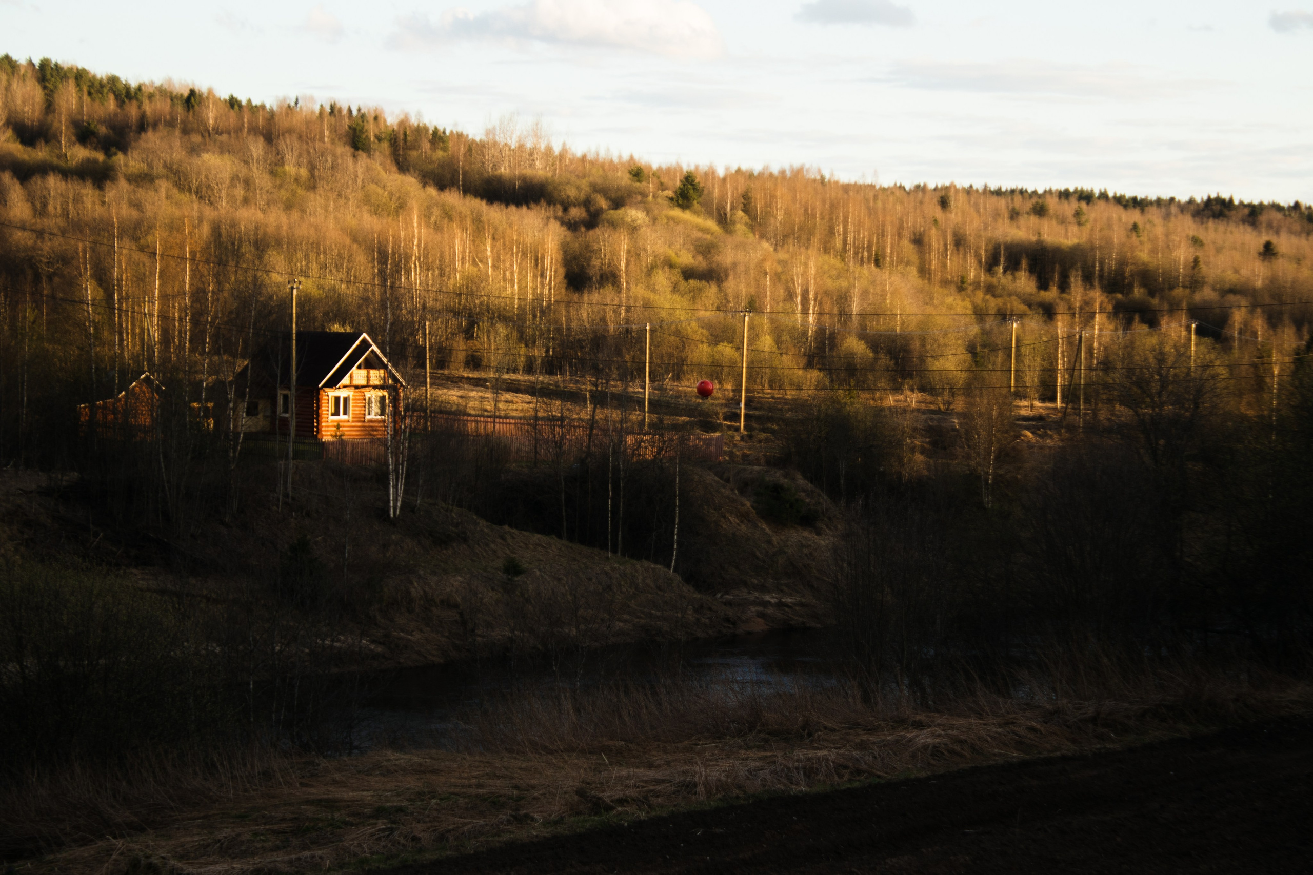 Вепсский ковчег. Полина Щапова БМК235 Медиаком — НИУ ВШЭ