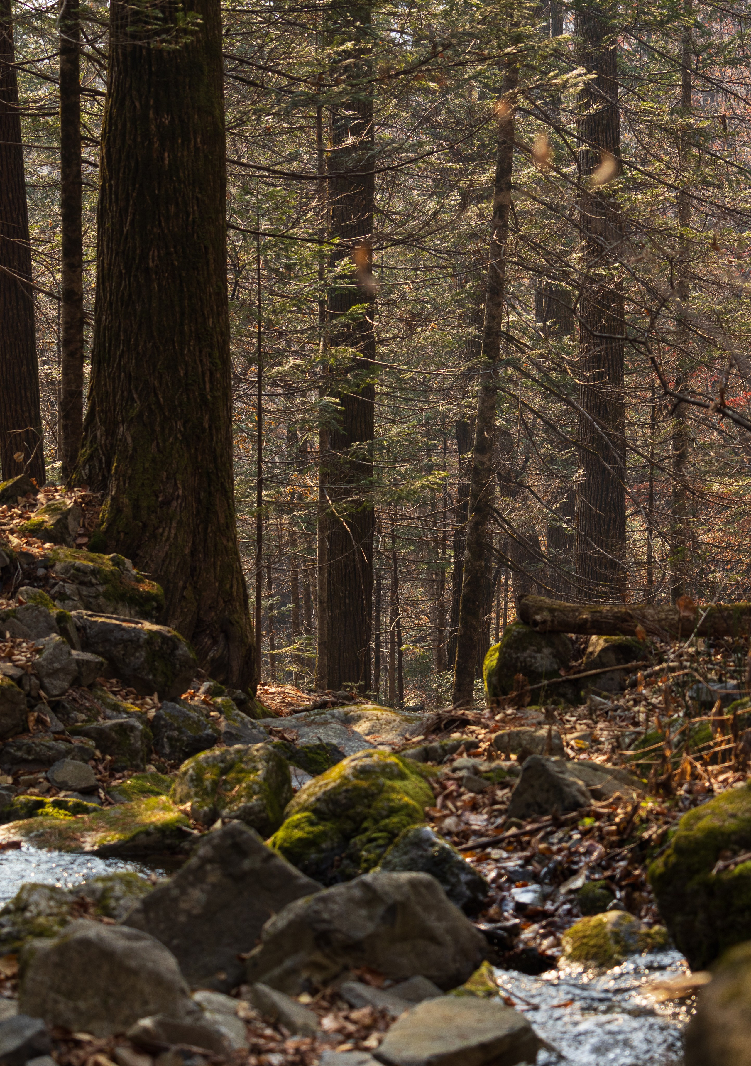 Маруськины слёзы. Константин Кириченко
