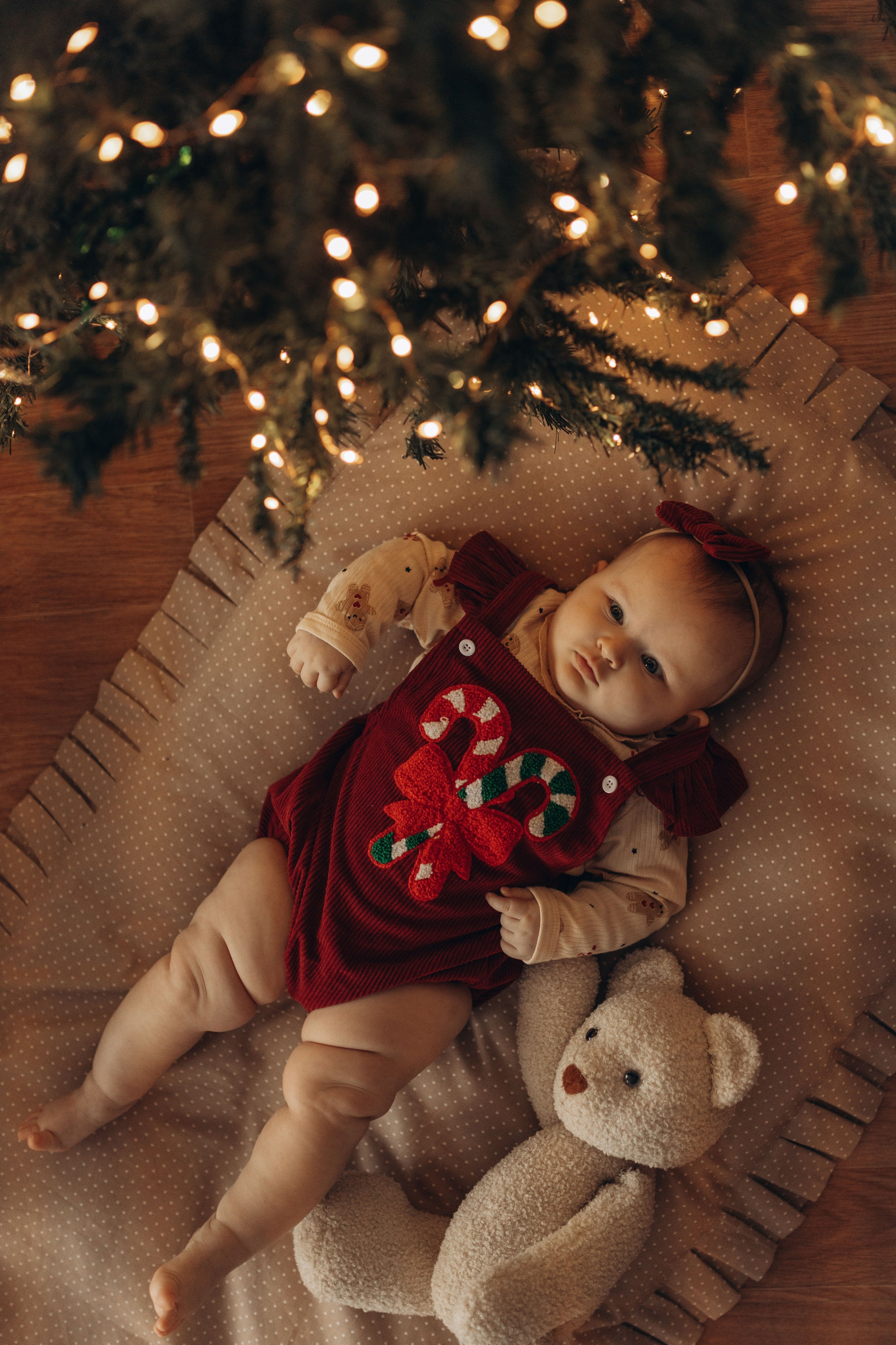 Семейная история под новый год. Фотограф в Ставрополе Svetlana Matveeva