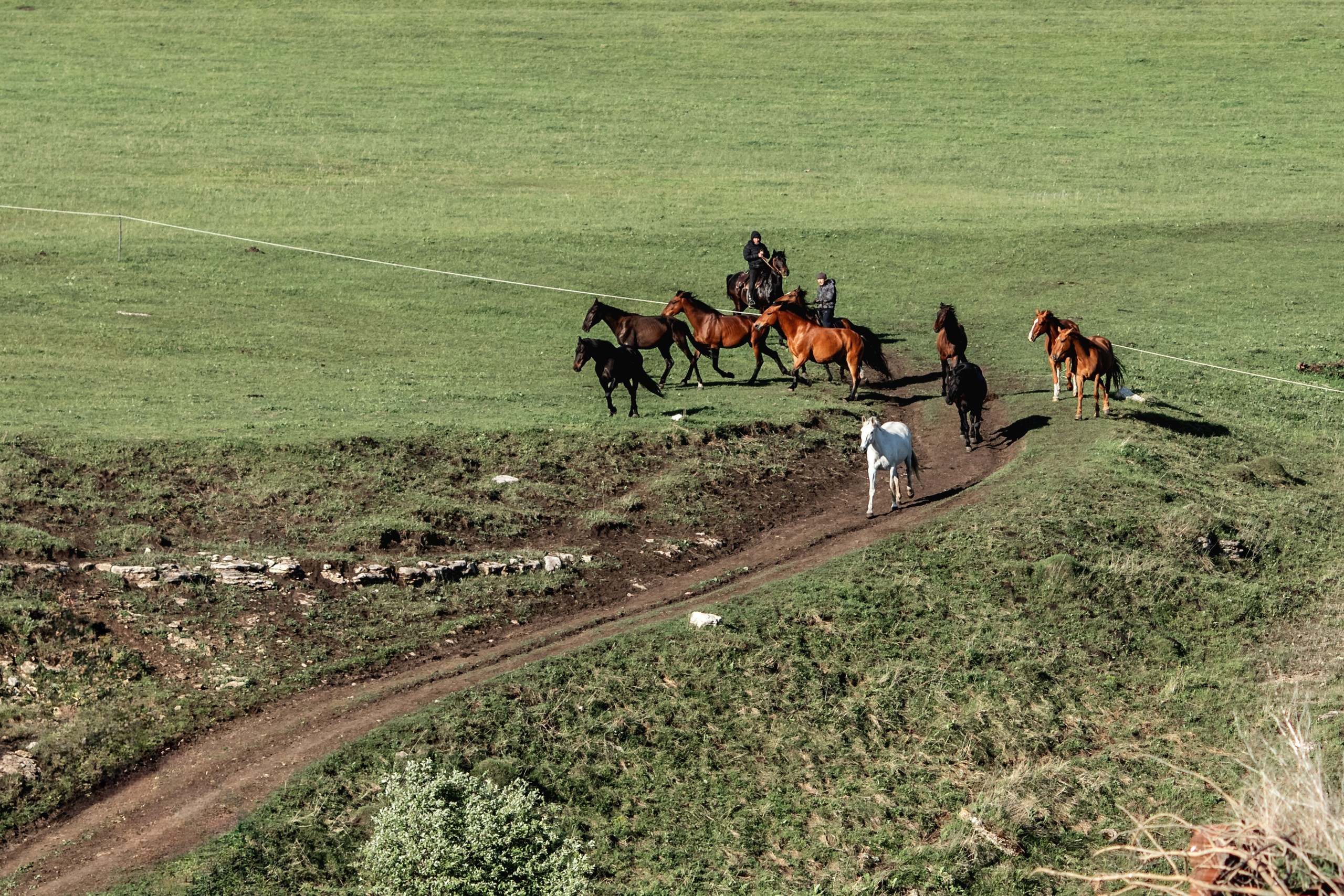 КЧР май'24. BrisArts