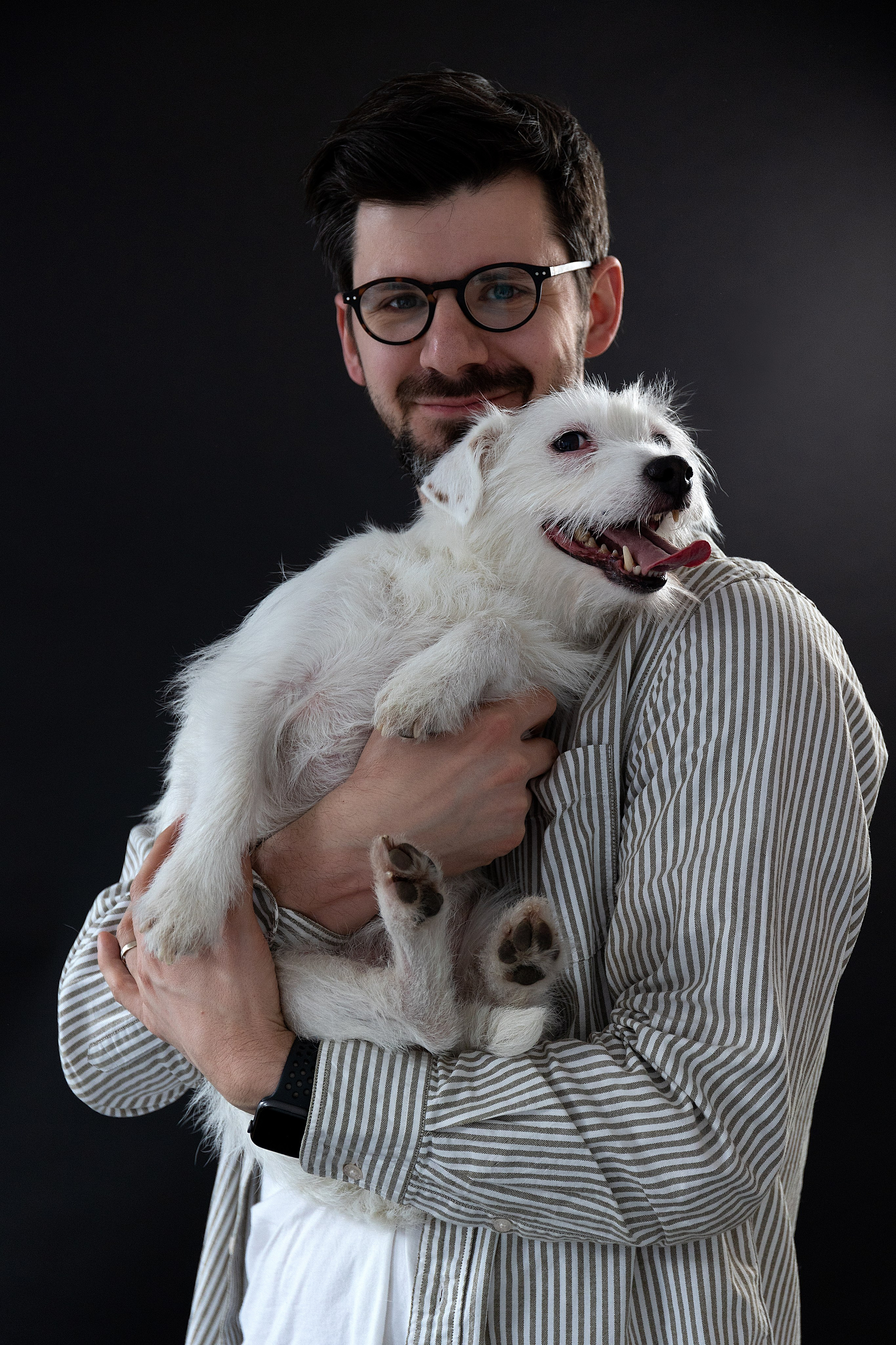 Анималистика