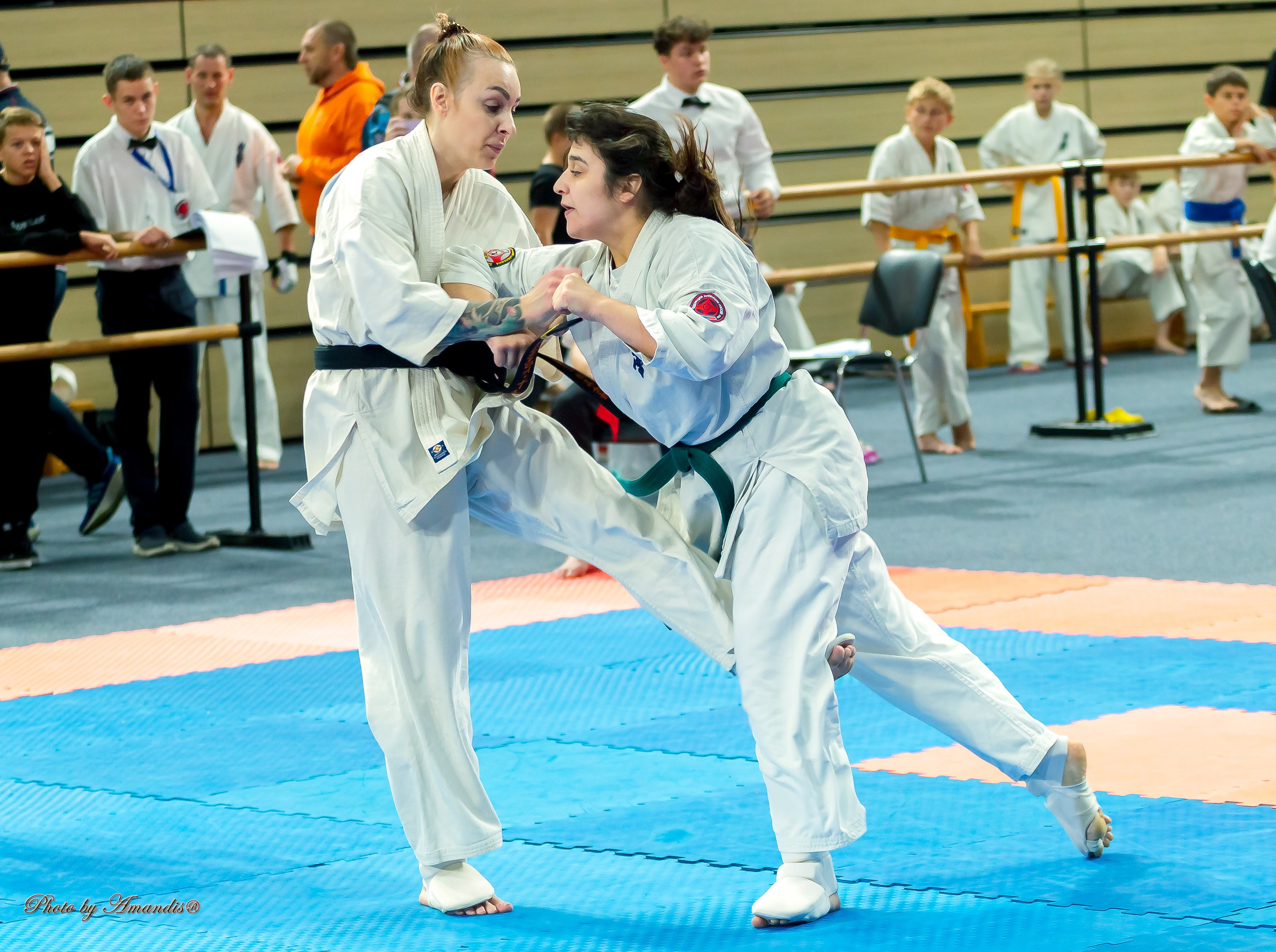 Первенство Московской области по Киокушин в СК «Жаворонки». Репортажная съемка в Москве и области. Анималистика