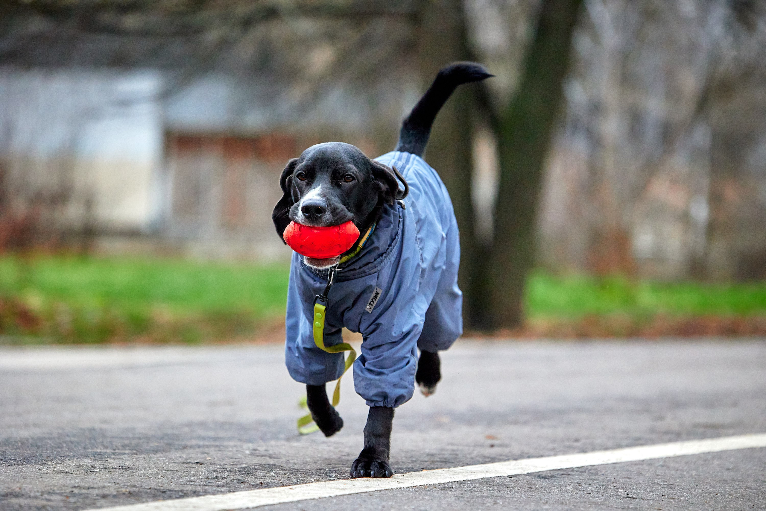 S95 Кусково. Спортивный и репортажный фотограф Андрей Баскаков