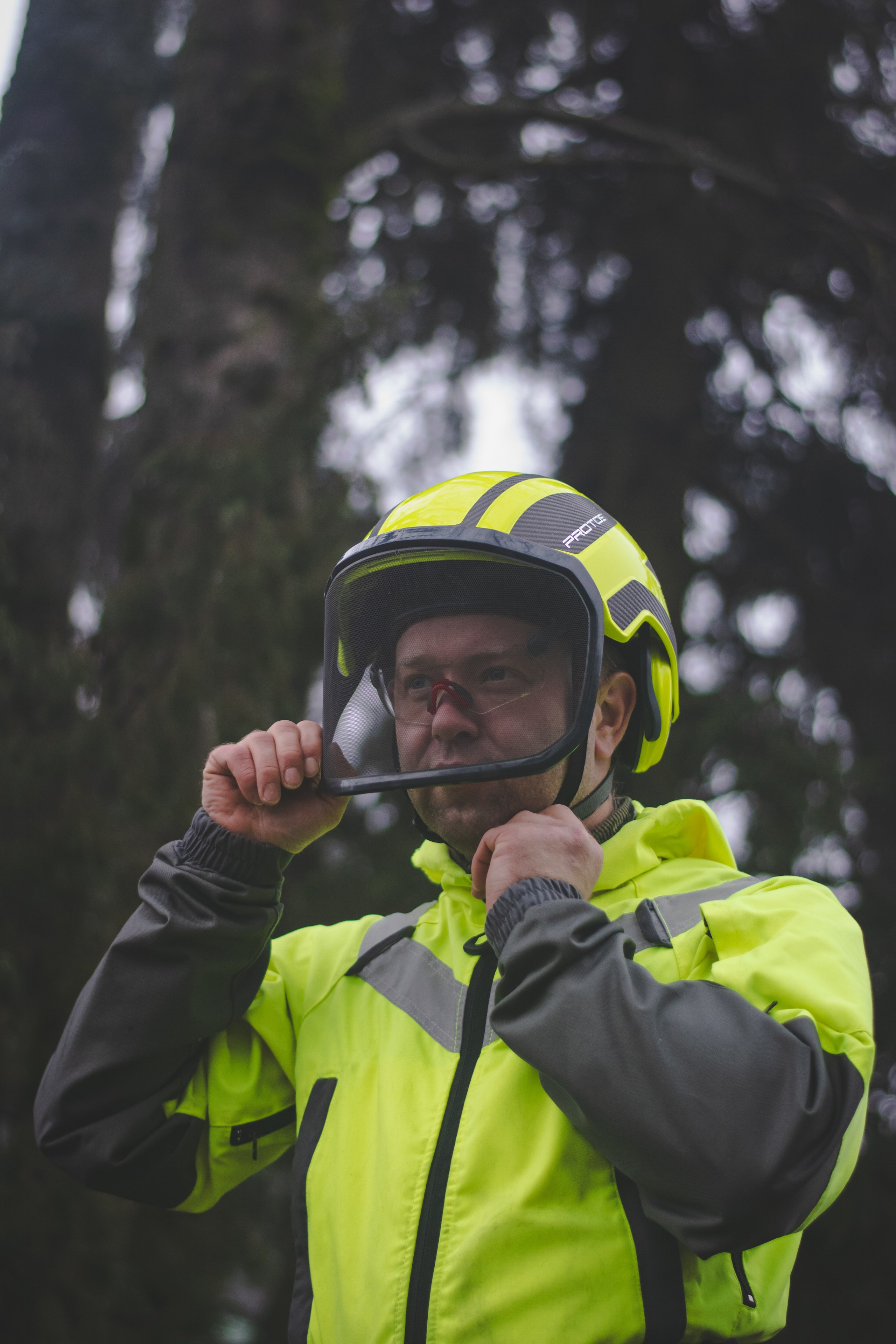 Спил деревьев. Аrbori Culturist