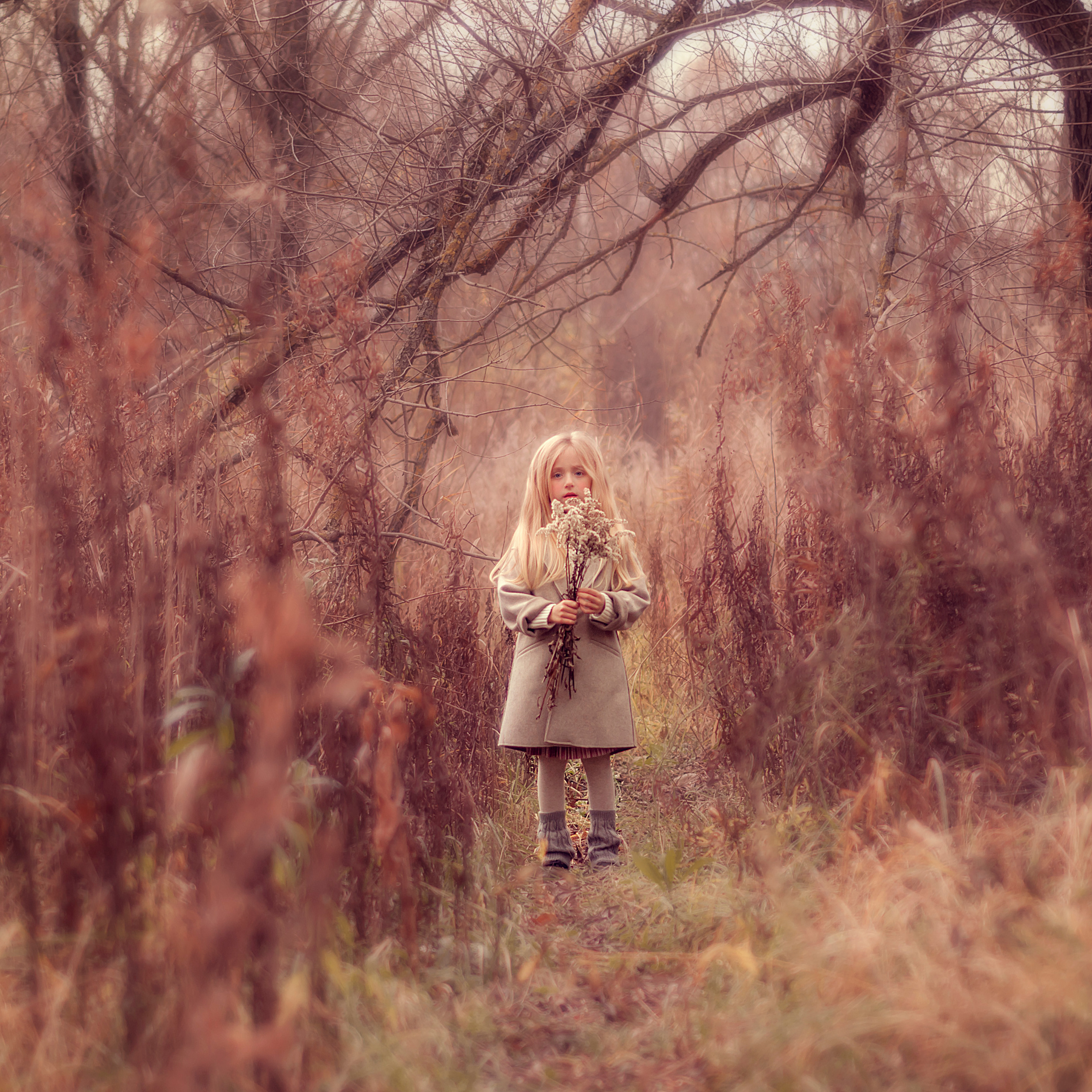 Софи. Семейный и детский фотограф в Москве Алена Прошкина