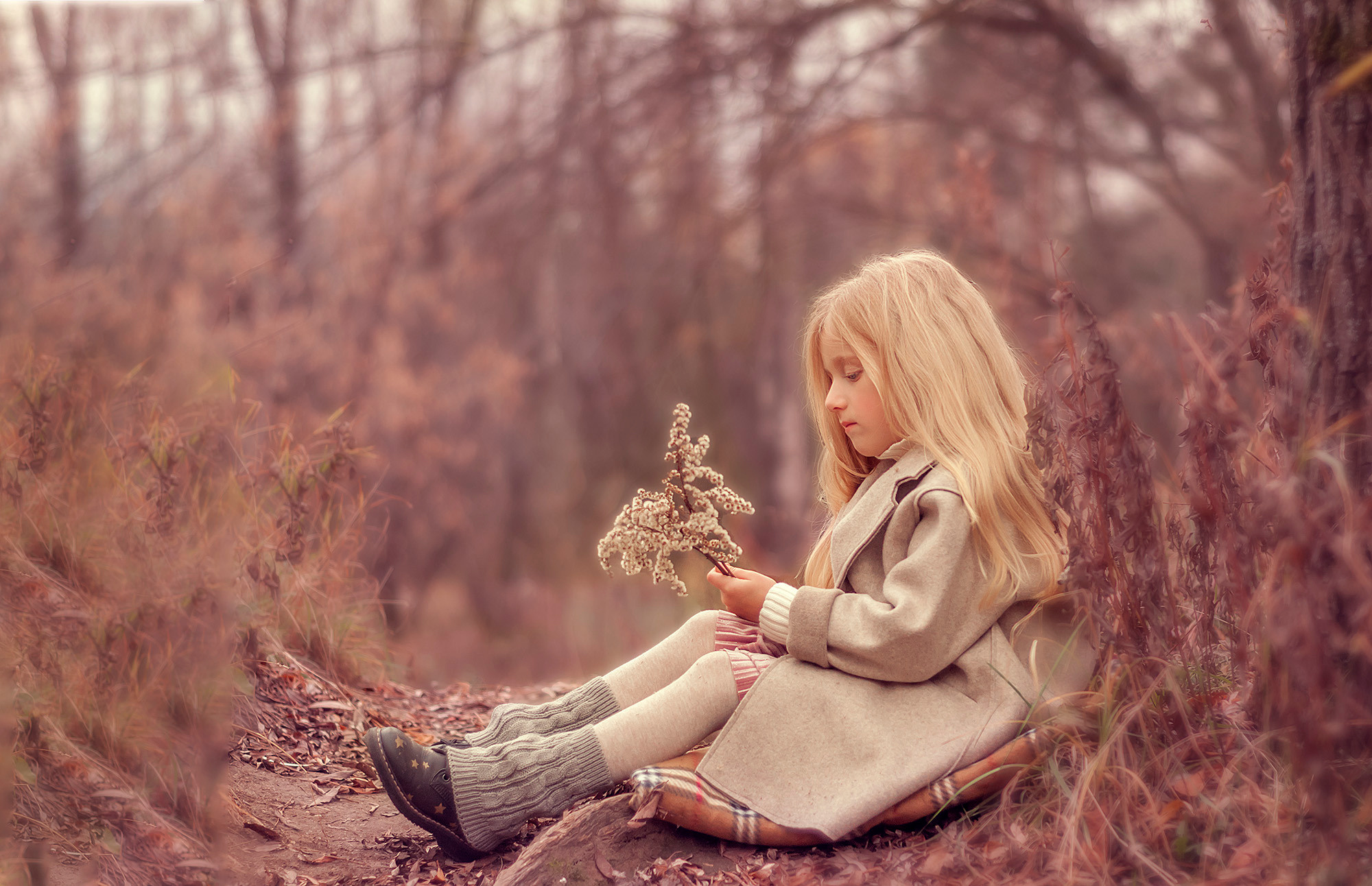 Софи. Семейный и детский фотограф в Москве Алена Прошкина