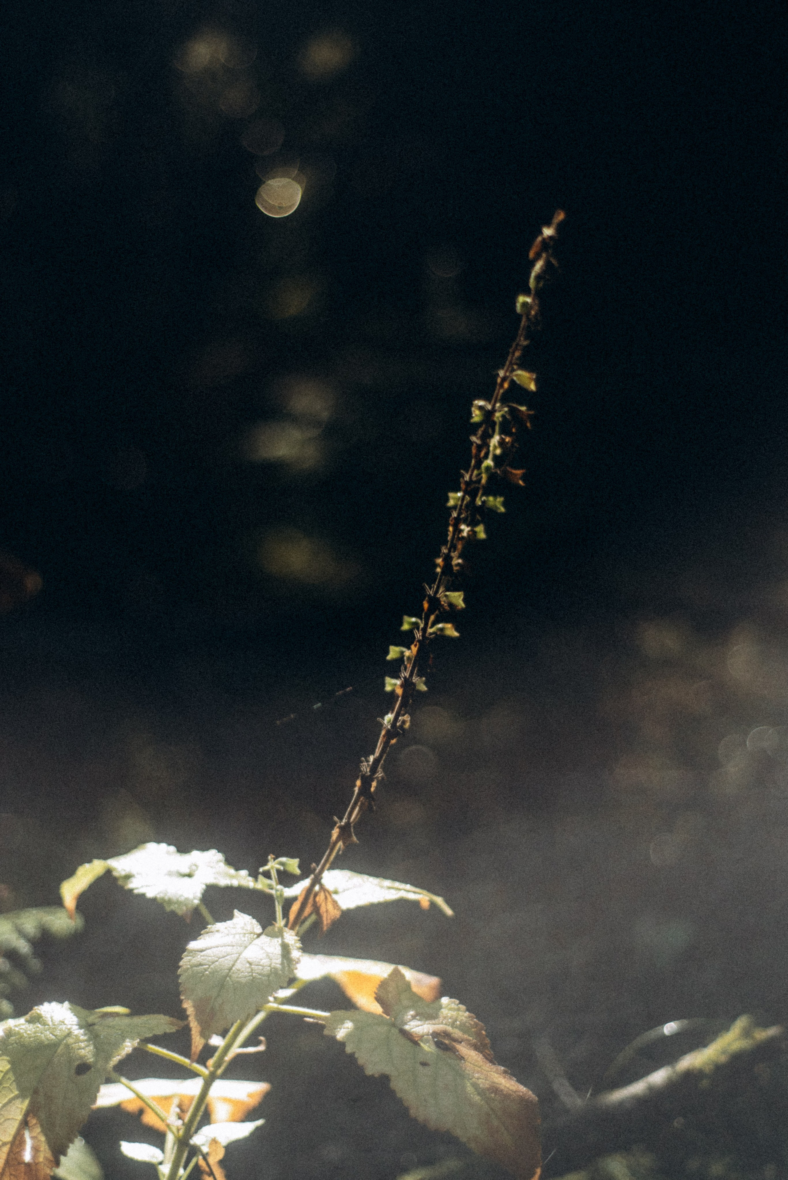 Боржоми, Грузия 🇬🇪. Anita_photo