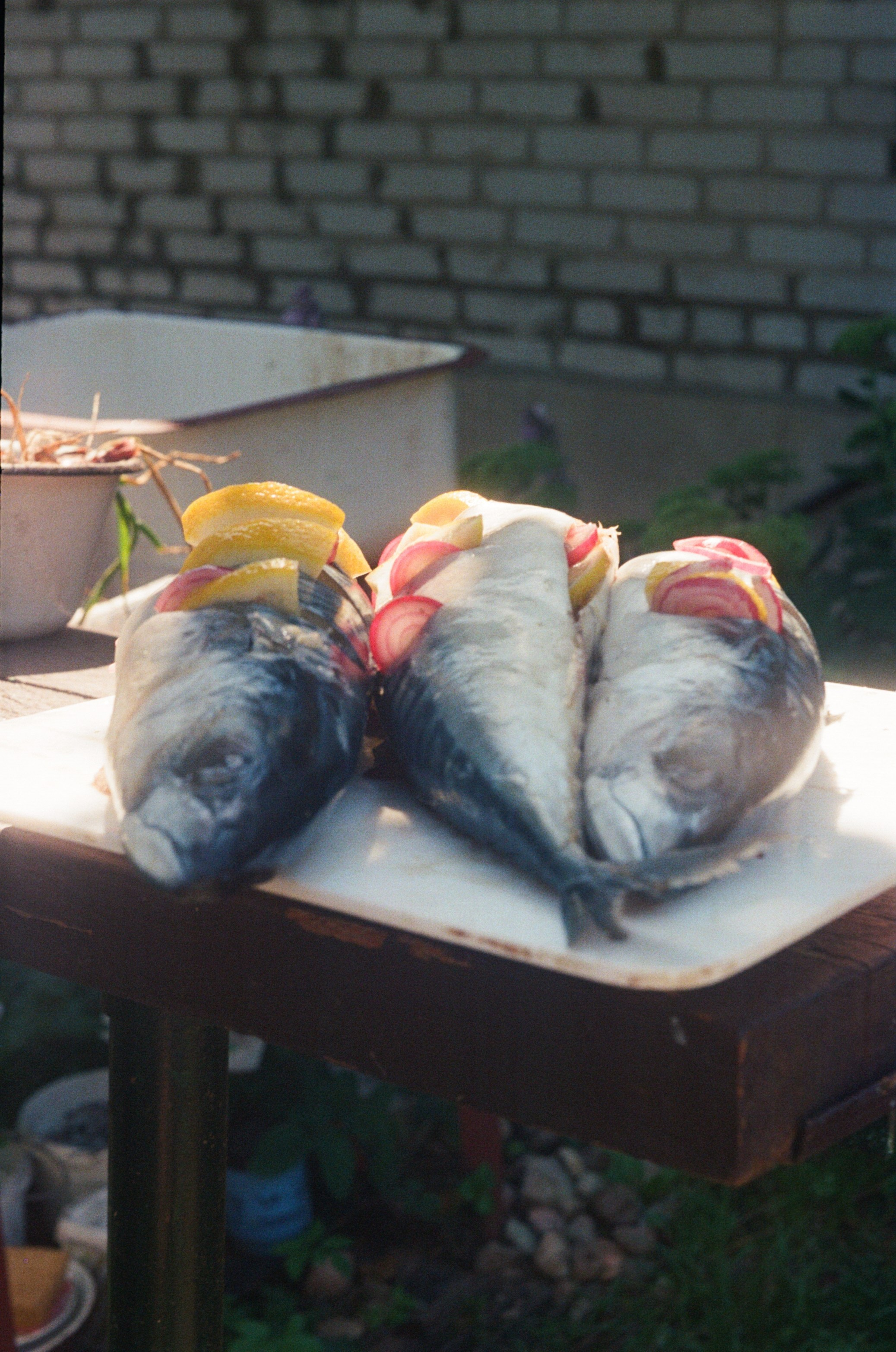 Пленка 🎞. Anita_photo