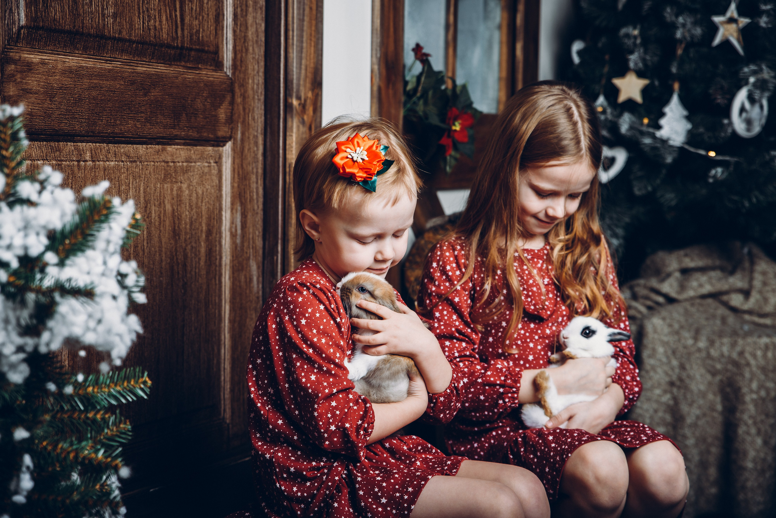 Новогодняя семейная фотосессия минск недорого