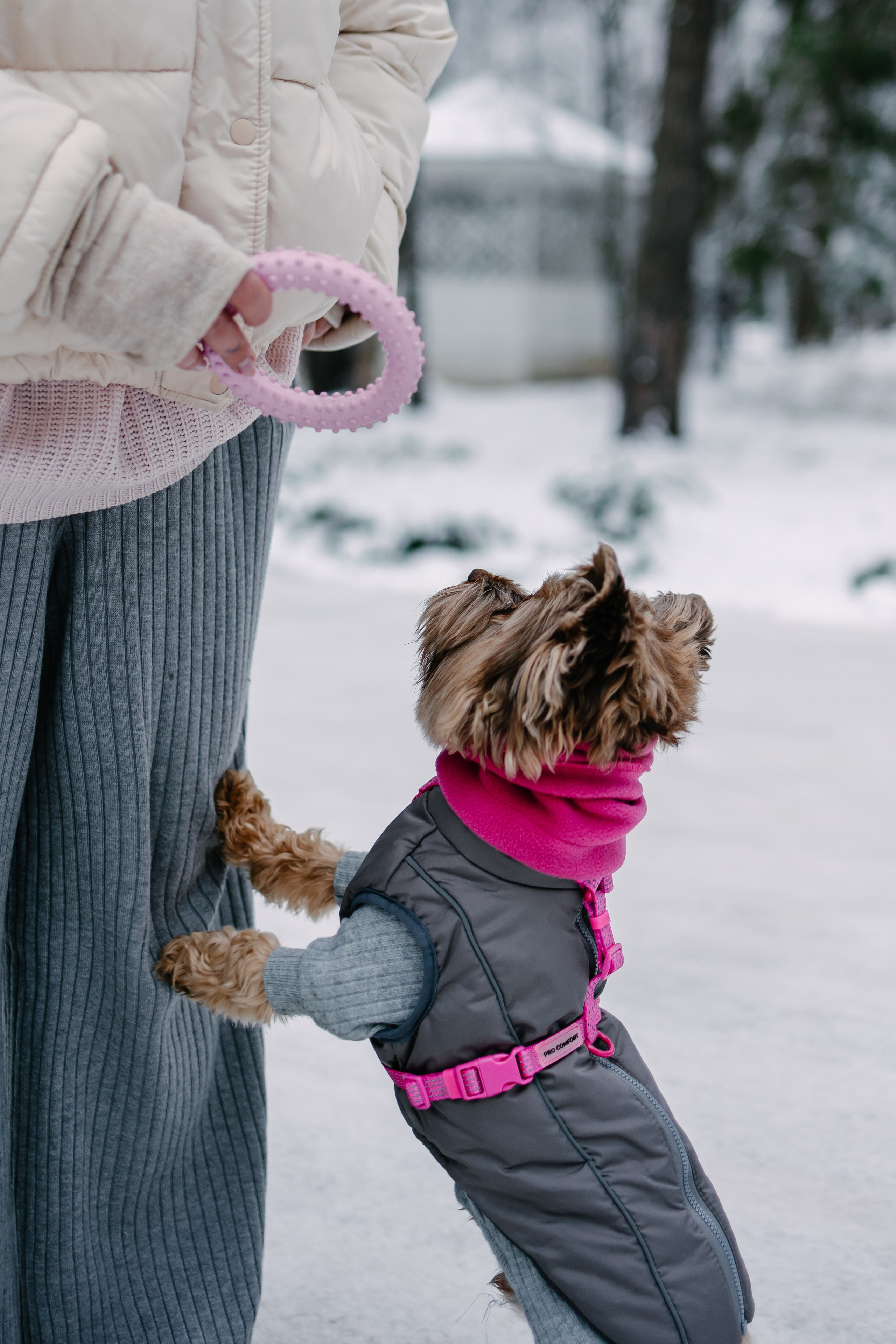 Лиза и Рикки. Фотограф-анималист в Санкт-Петербурге Алина Яхонт