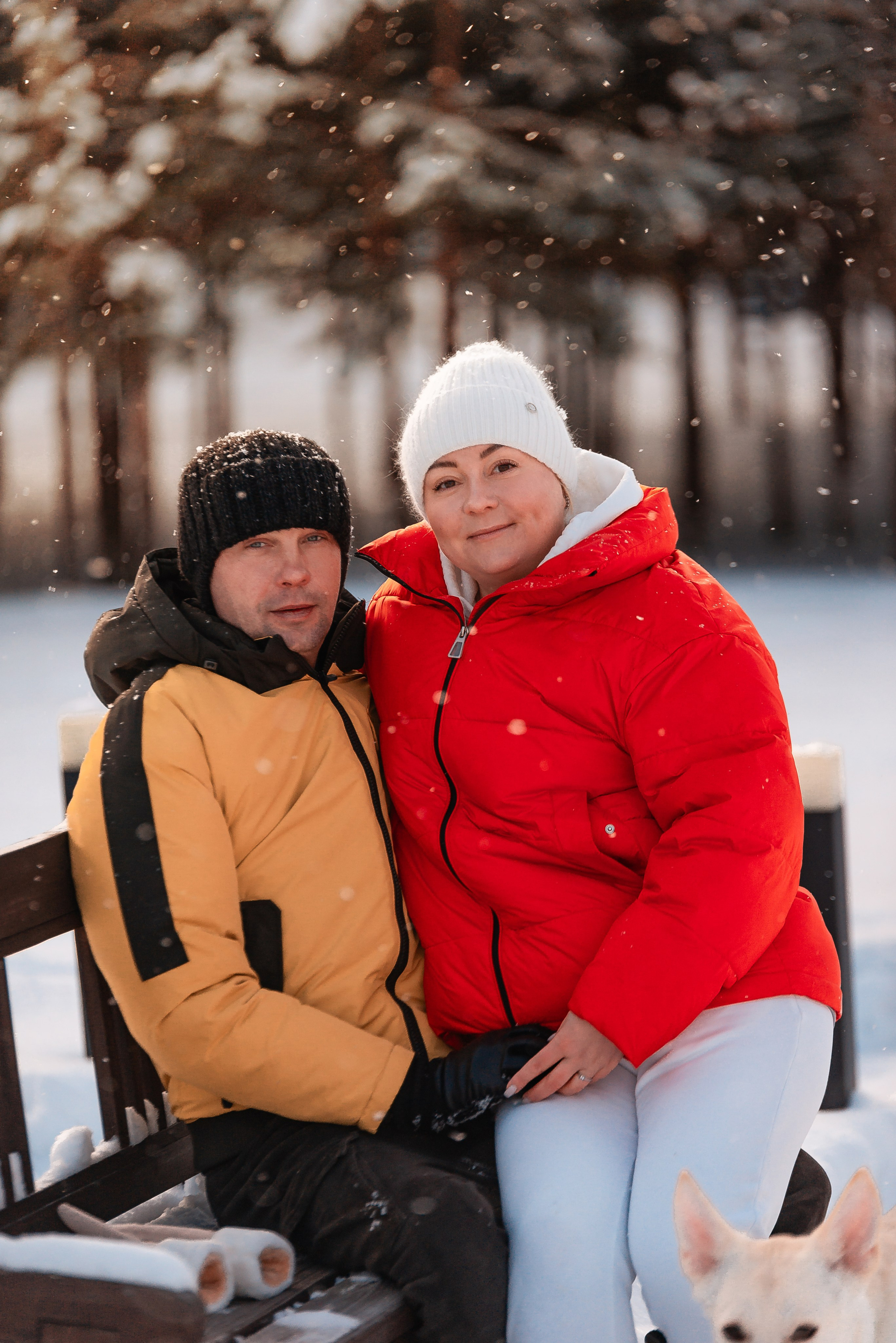 Татьяна, Михаил, Шелли и Лаки. Фотограф-анималист Анастасия Парфенова|Екатеринбург