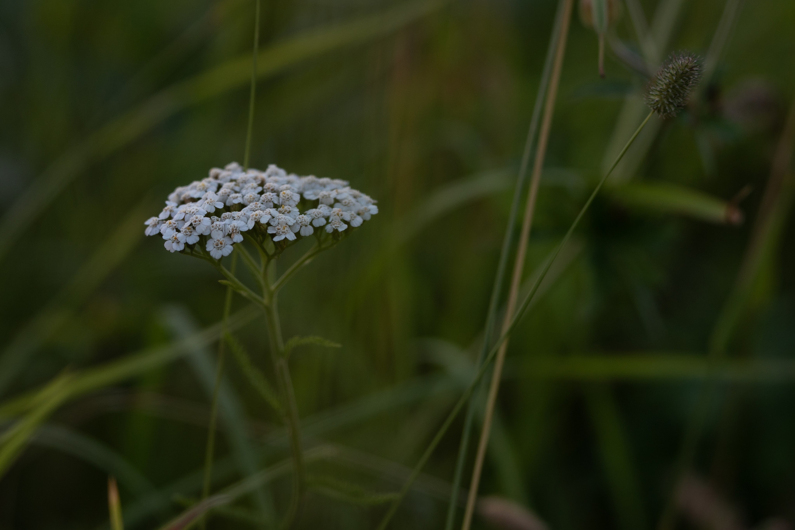ATMOSPHERE. Фотограф Юрина Ксения Москва