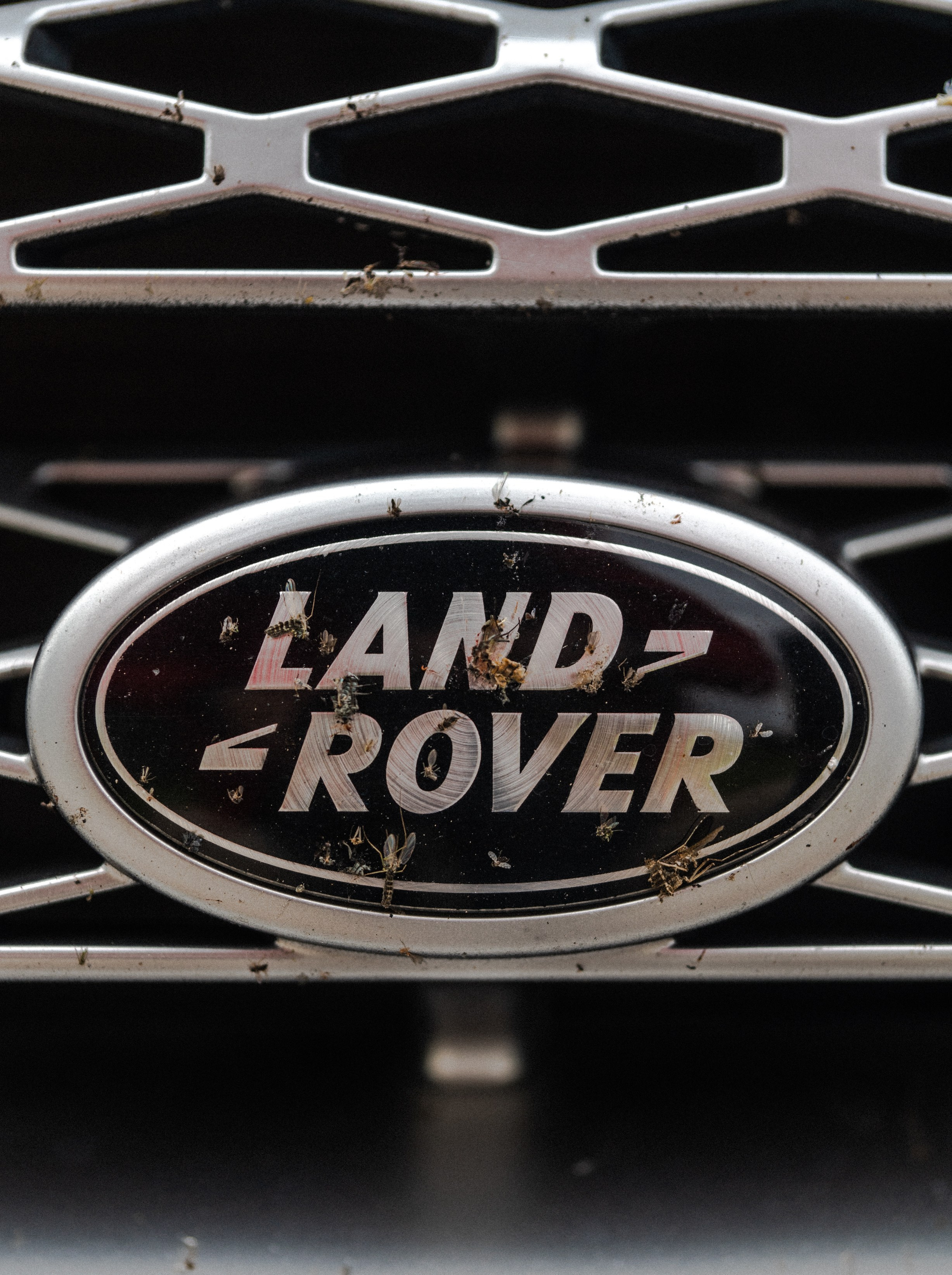 Land Rover Trip-9. Жуков Илья  свадебный фотограф в Москве