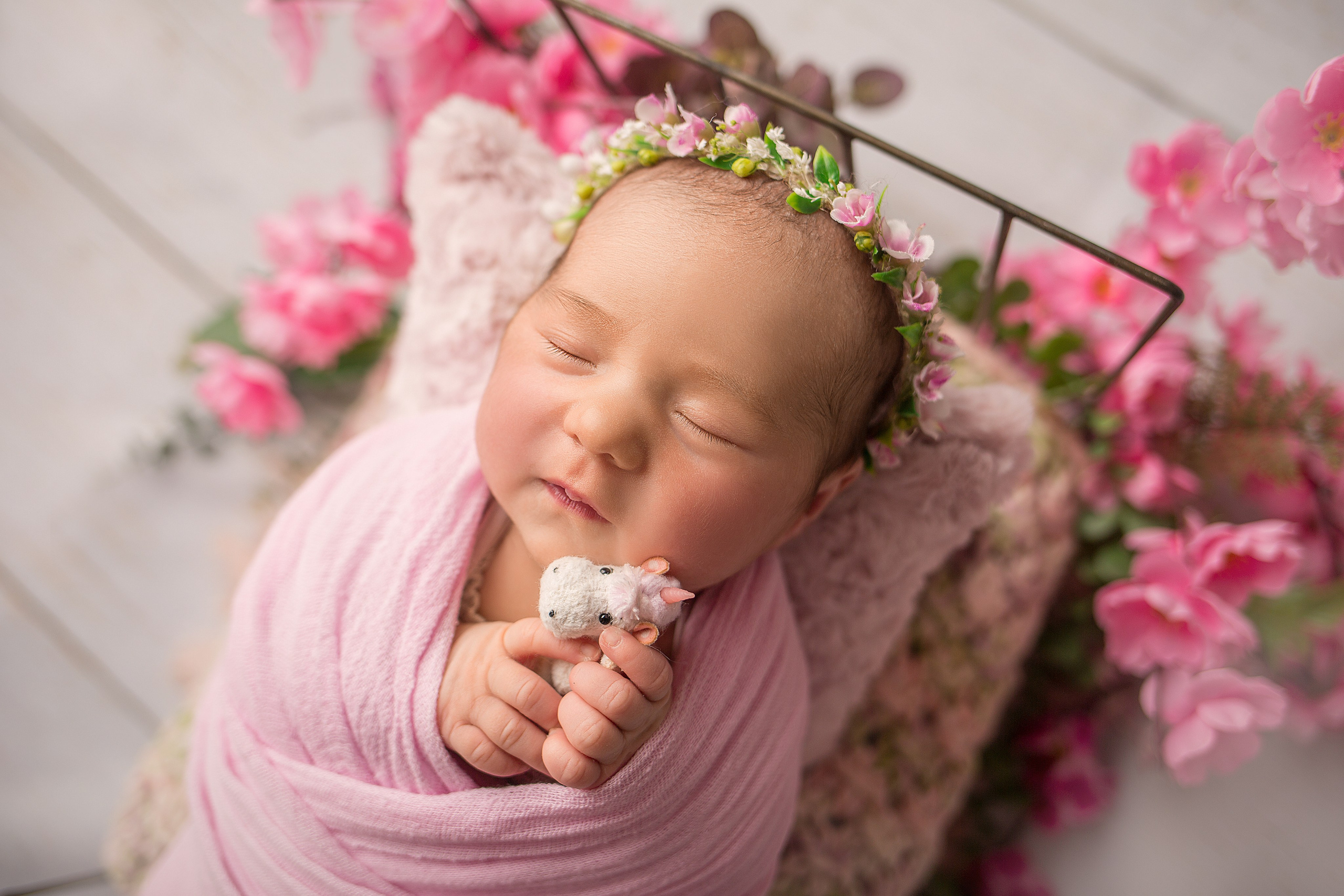 Ньюборн девочки. Фотограф новорожденных, семейный, детский фотограф в Москве и Московской области