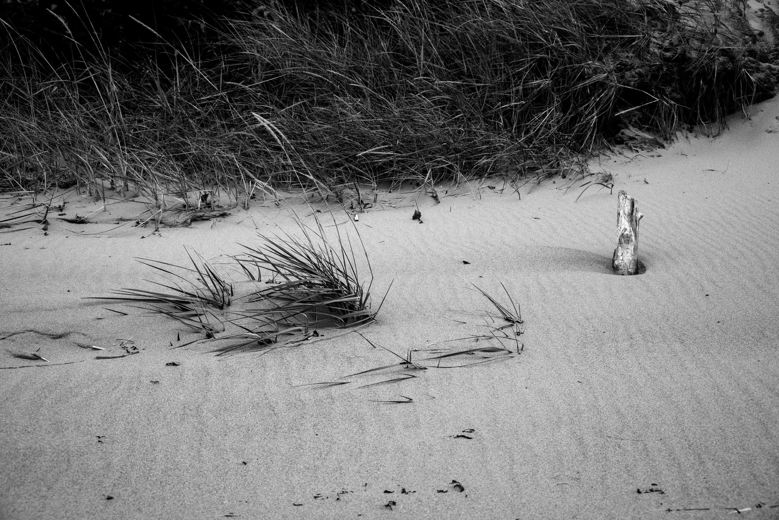 Деревня / Север I. Фотограф Антон Денисенко: Портрет, Документалистика, Пейзаж. Москва