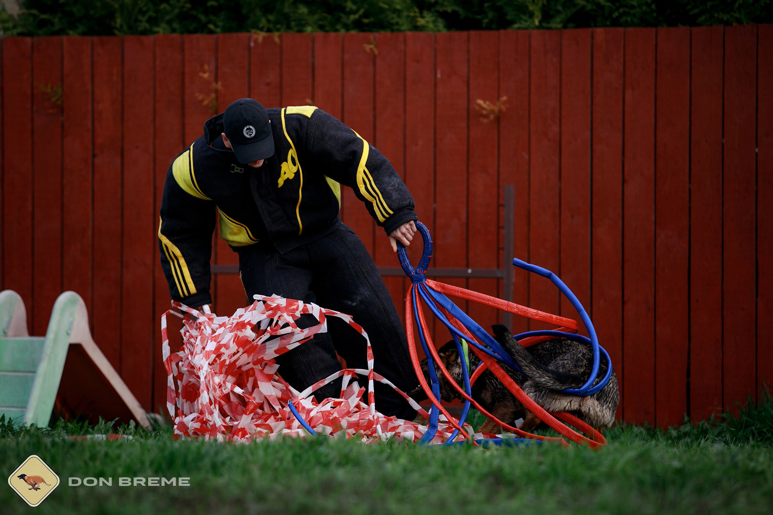 Семинар для фигурантов, день 2. Фотограф-анималист Mary Mart — Москва, Питер