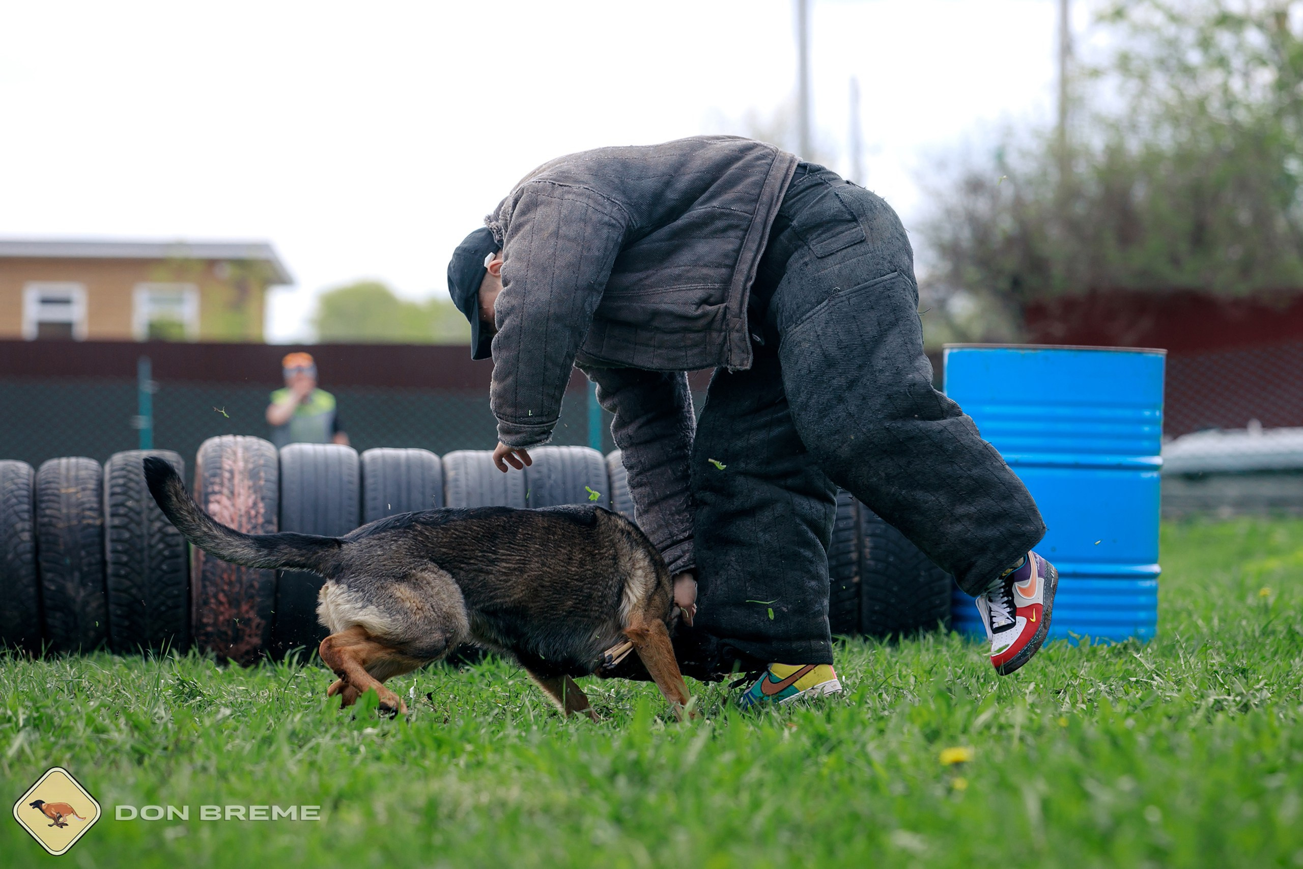 Семинар для фигурантов, день 2. Фотограф-анималист Mary Mart — Москва, Питер