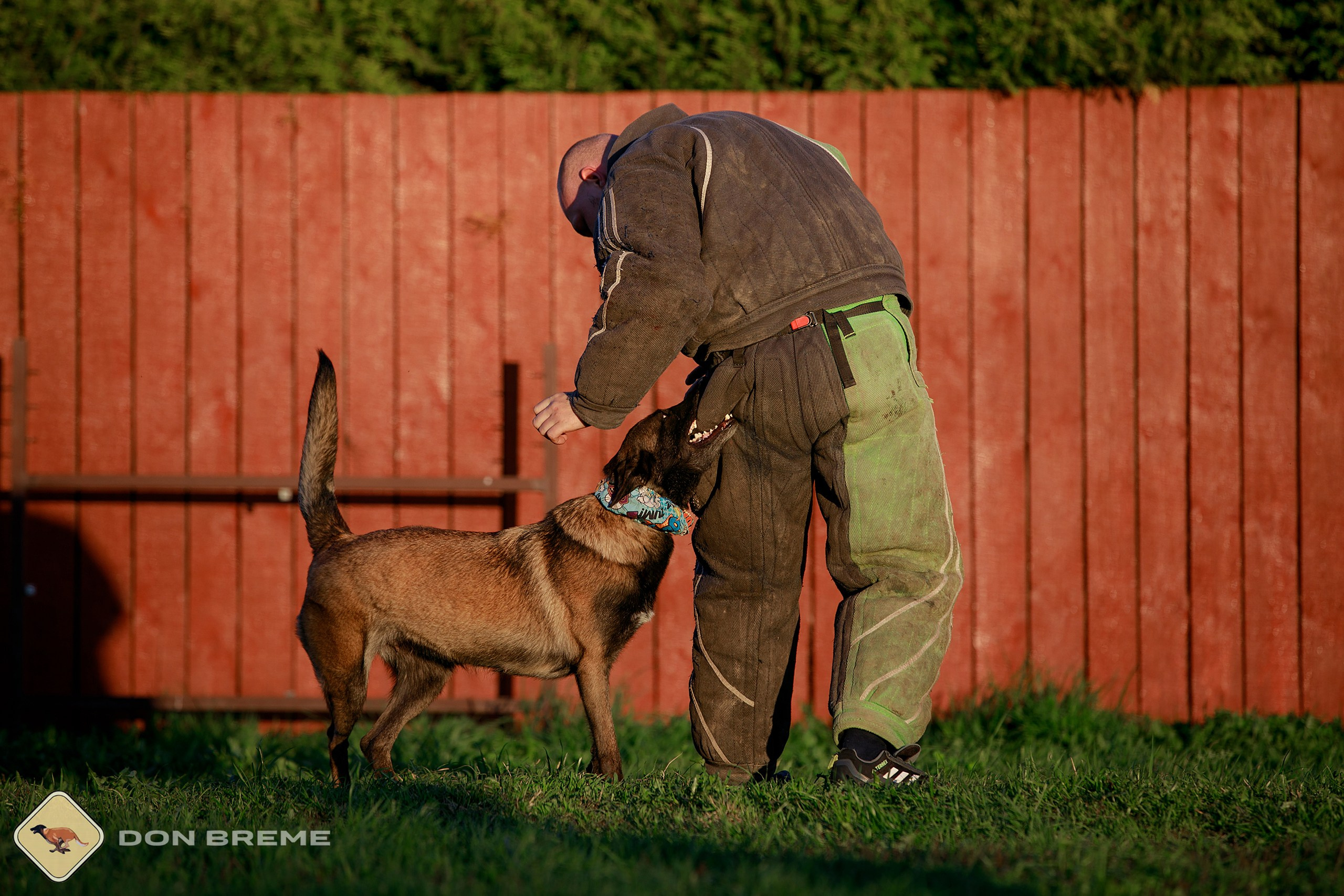 Семинар для фигурантов, день 3. Фотограф-анималист Mary Mart — Москва, Питер