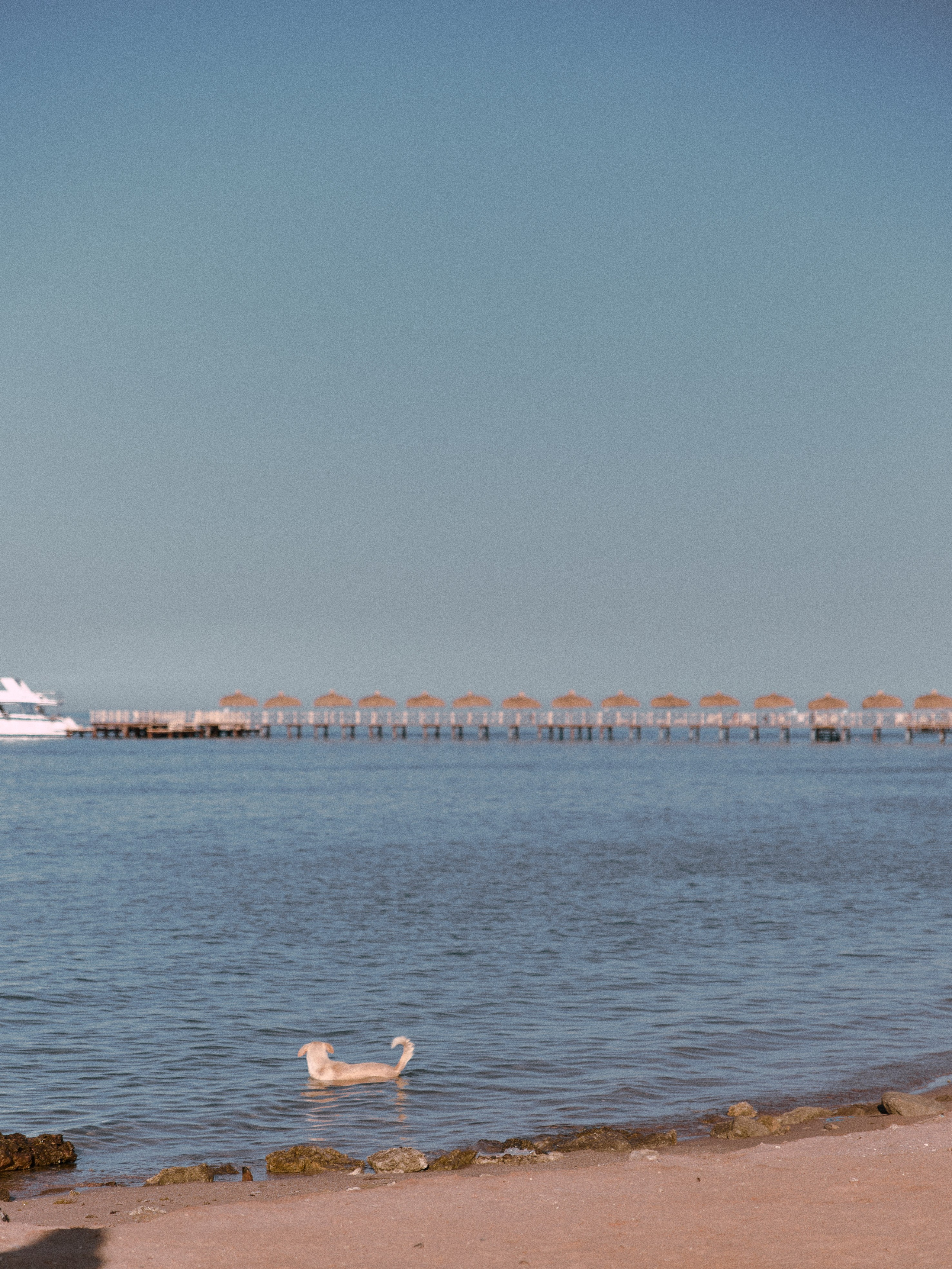 Диптих. Jorgis — фотограф в Хургаде / обучение фотографии