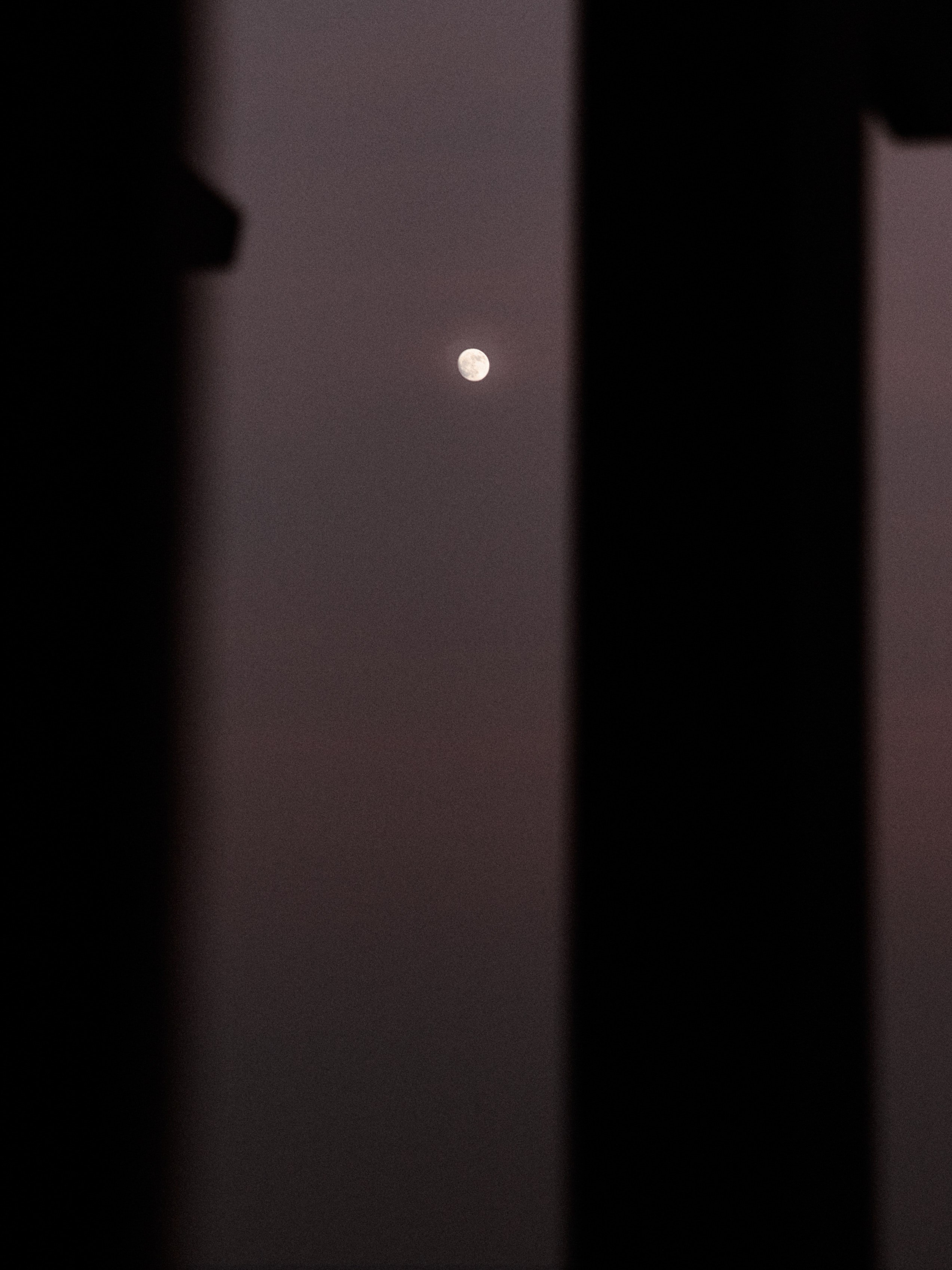 Другое 2. Jorgis Talè — photographer, kind person, teacher of arts and other mag