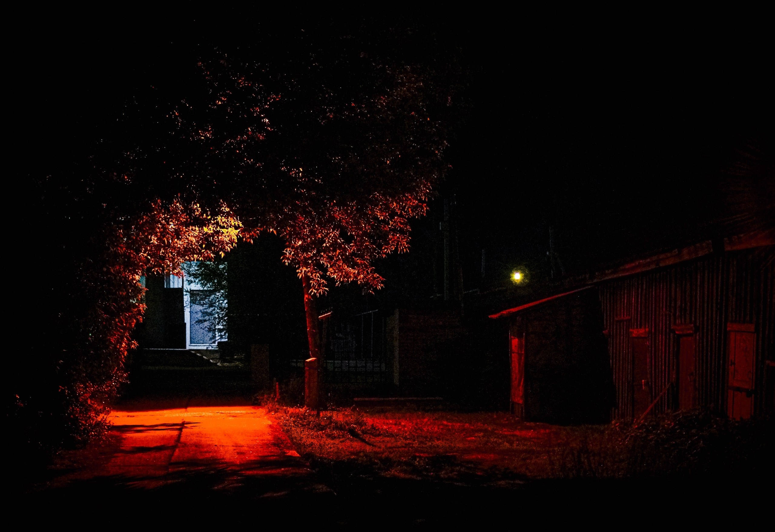 Street. S8C портретный, уличный и арт фотограф, в Саратовской области и г. Балаково