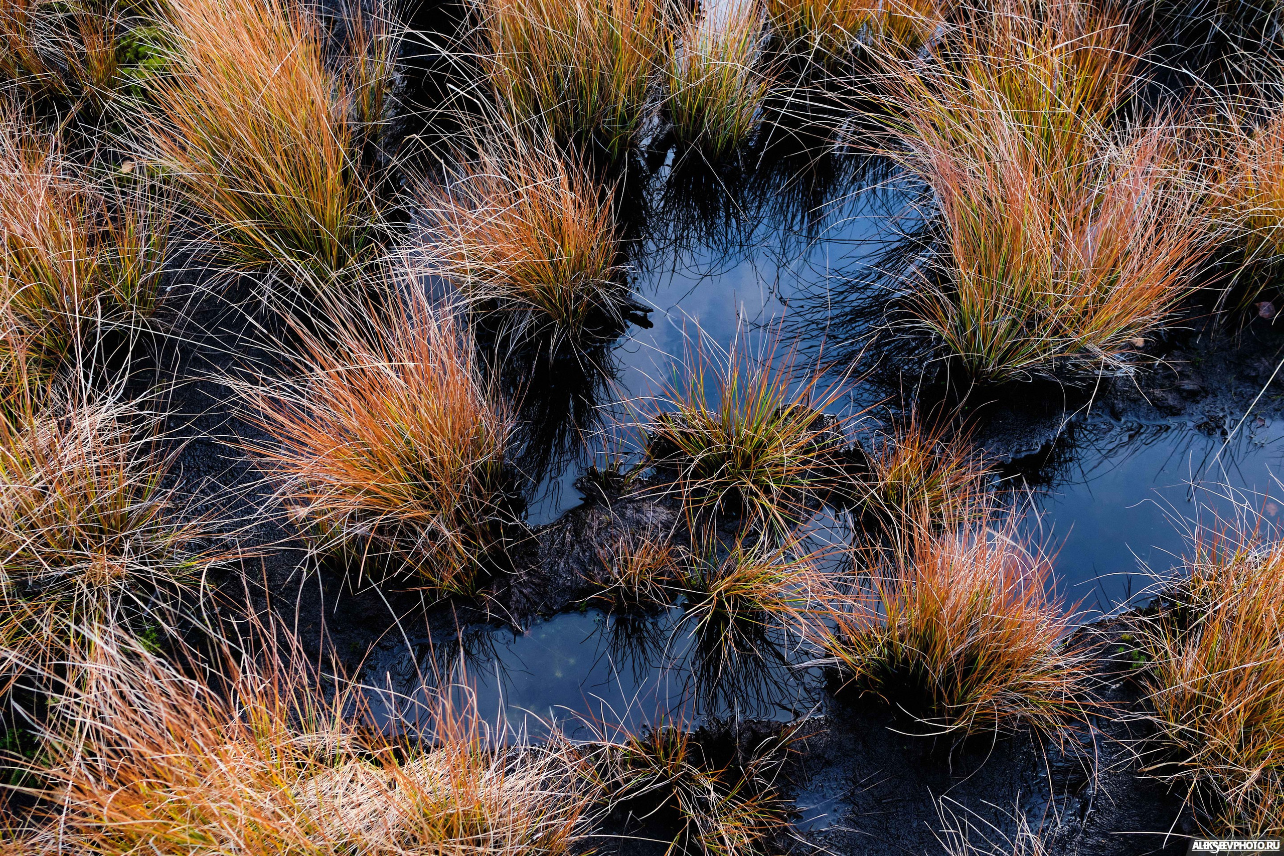 2021.10.17 — Финал чемпионата СЗФО по трофи-рейдам — 1 день. Фотограф Алексей Алексеев