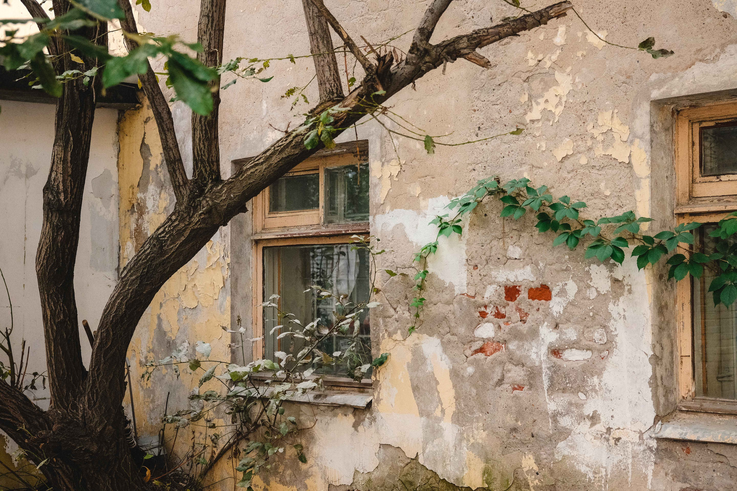 2023.09. Фотограф Алексей Алексеев