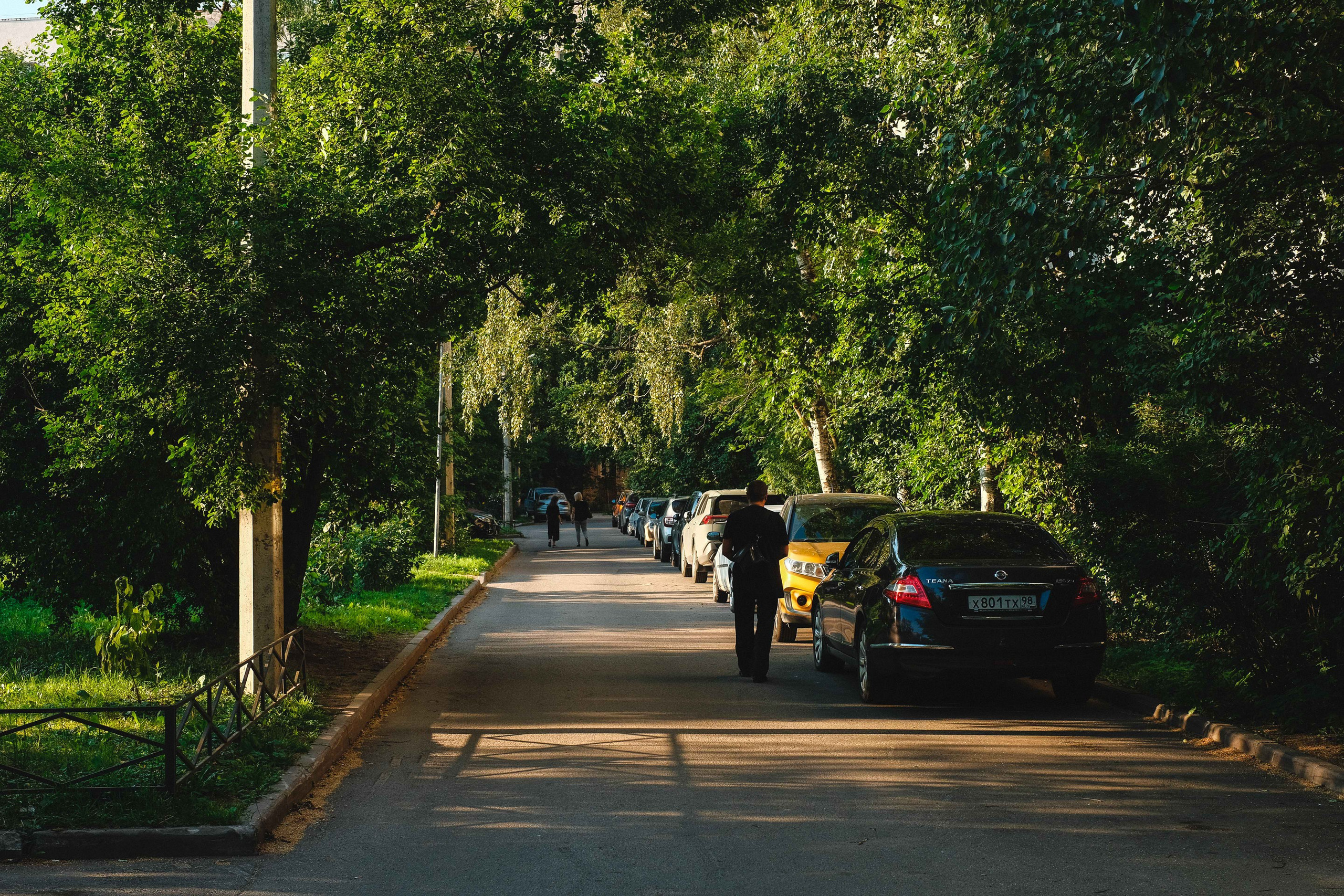 2022.07. Фотограф Алексей Алексеев