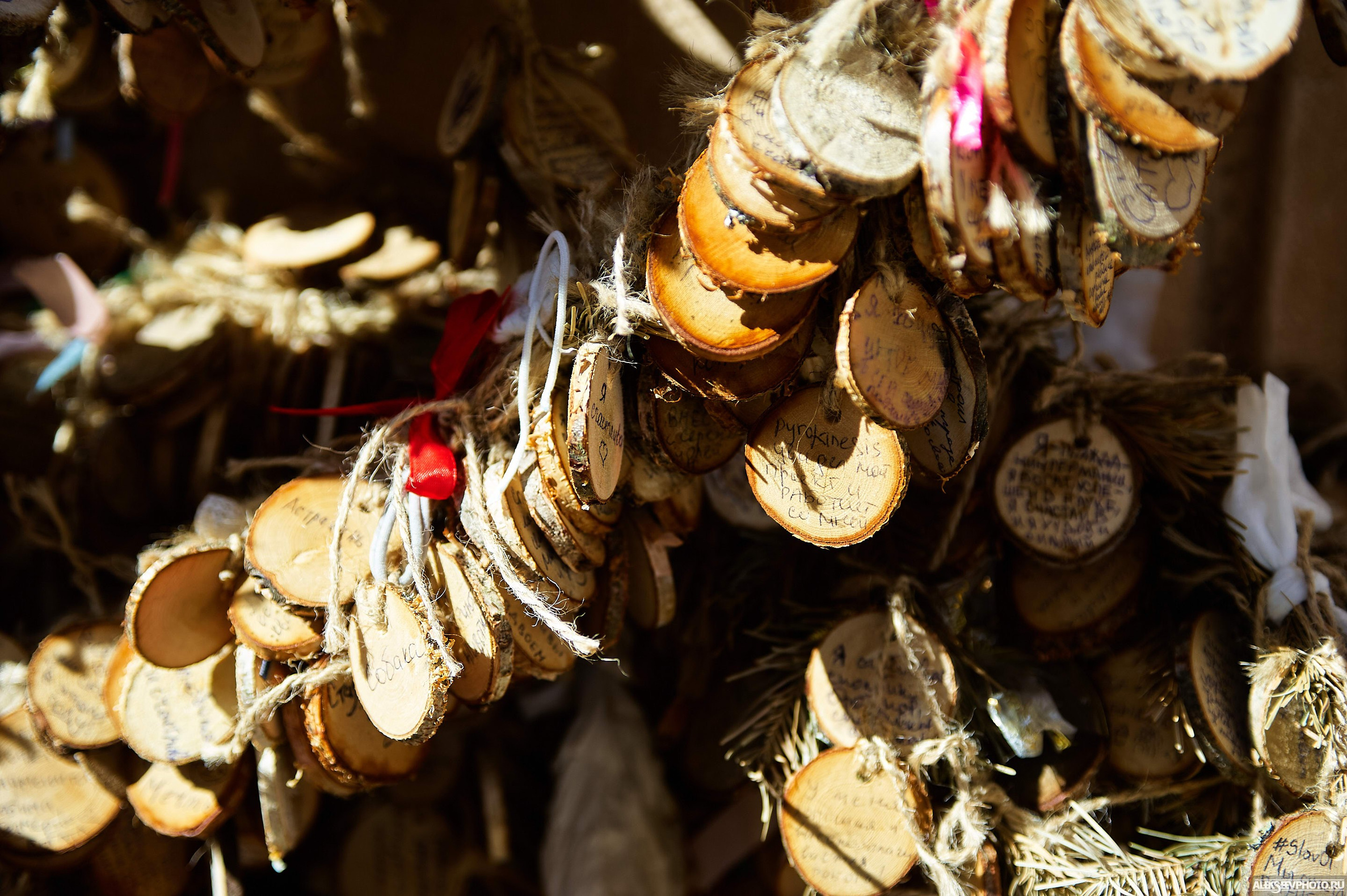 2021.05. Фотограф Алексей Алексеев