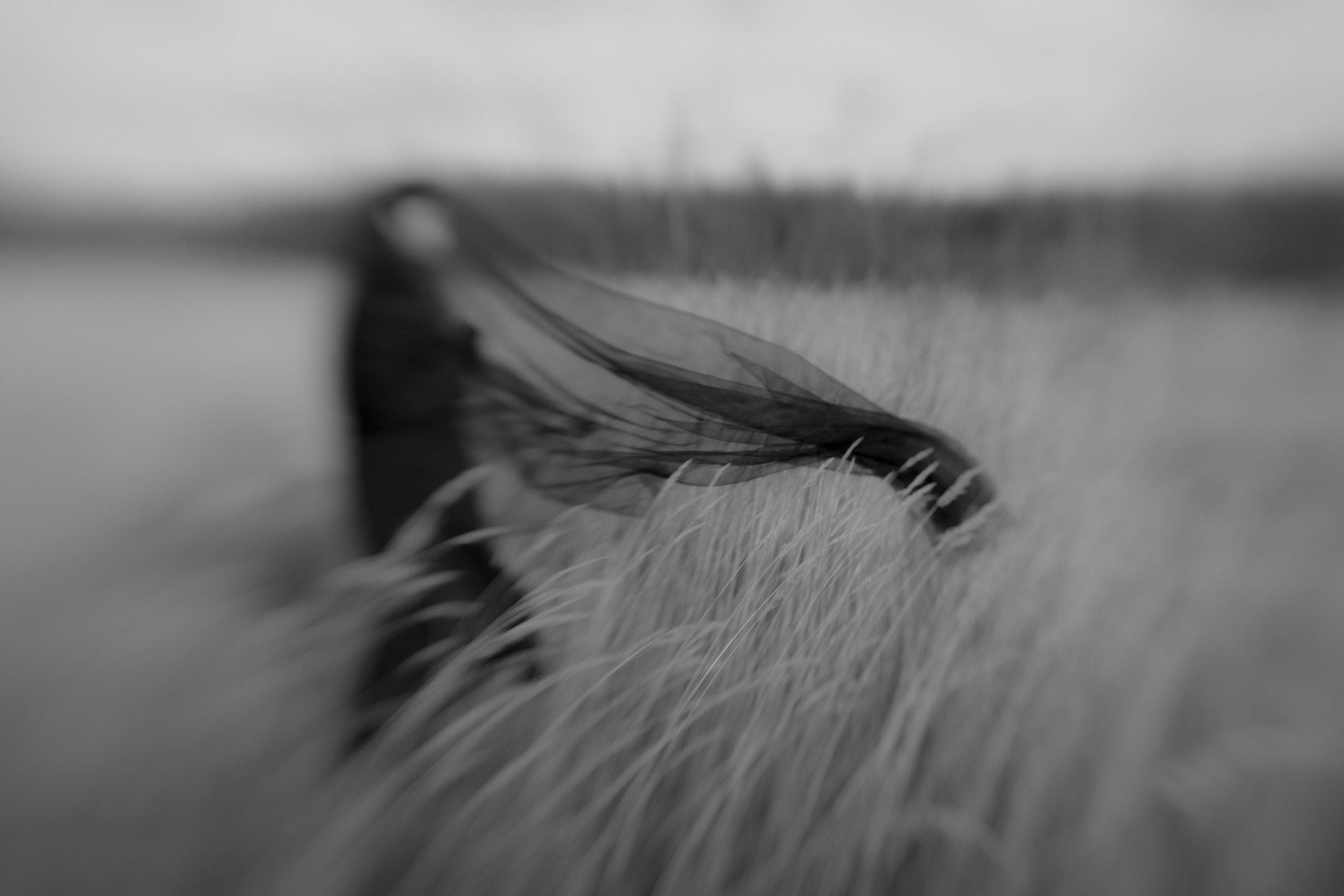 Портфолио. Фотограф в Нефтеюганске