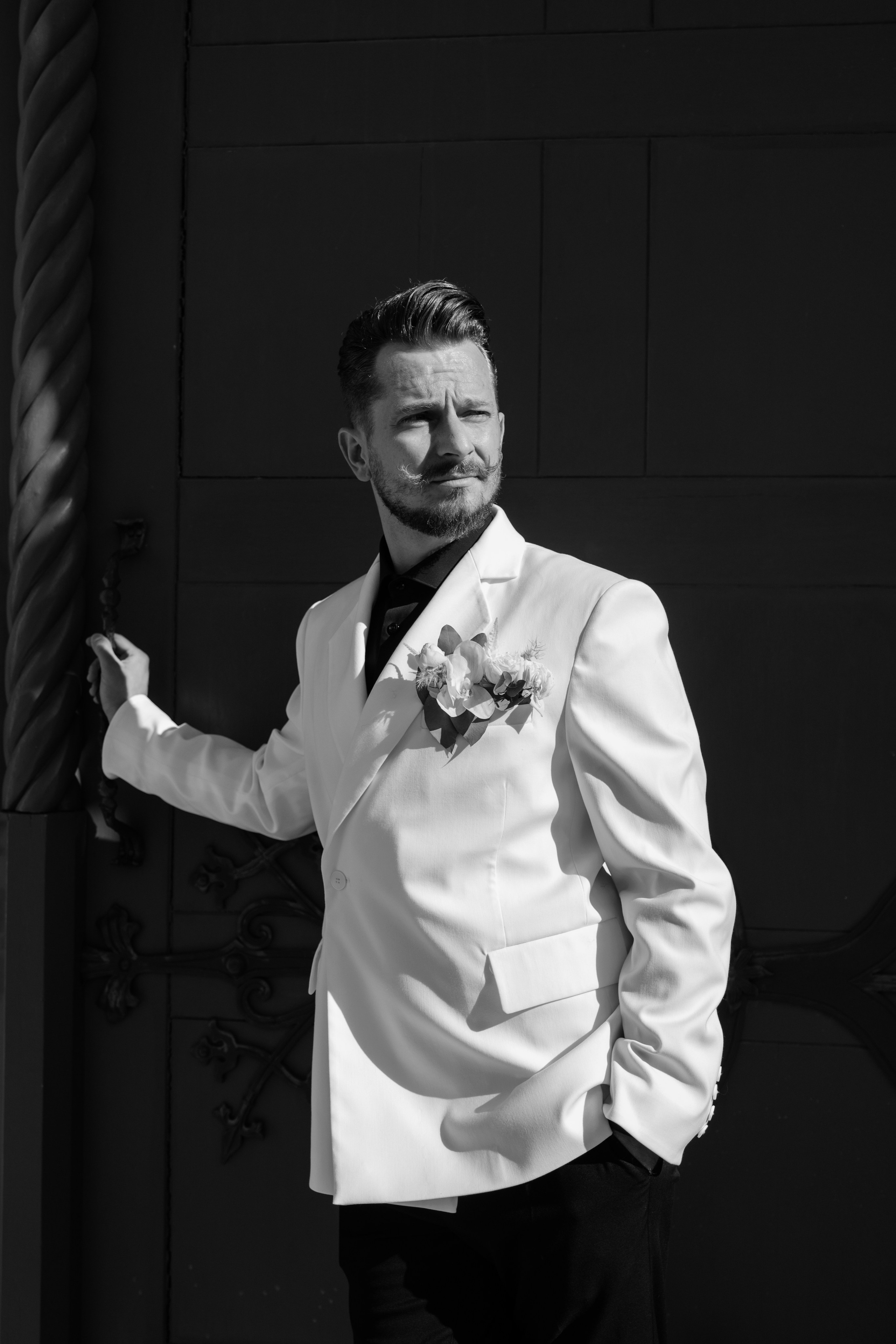 Alexander Alina. Wedding photographer