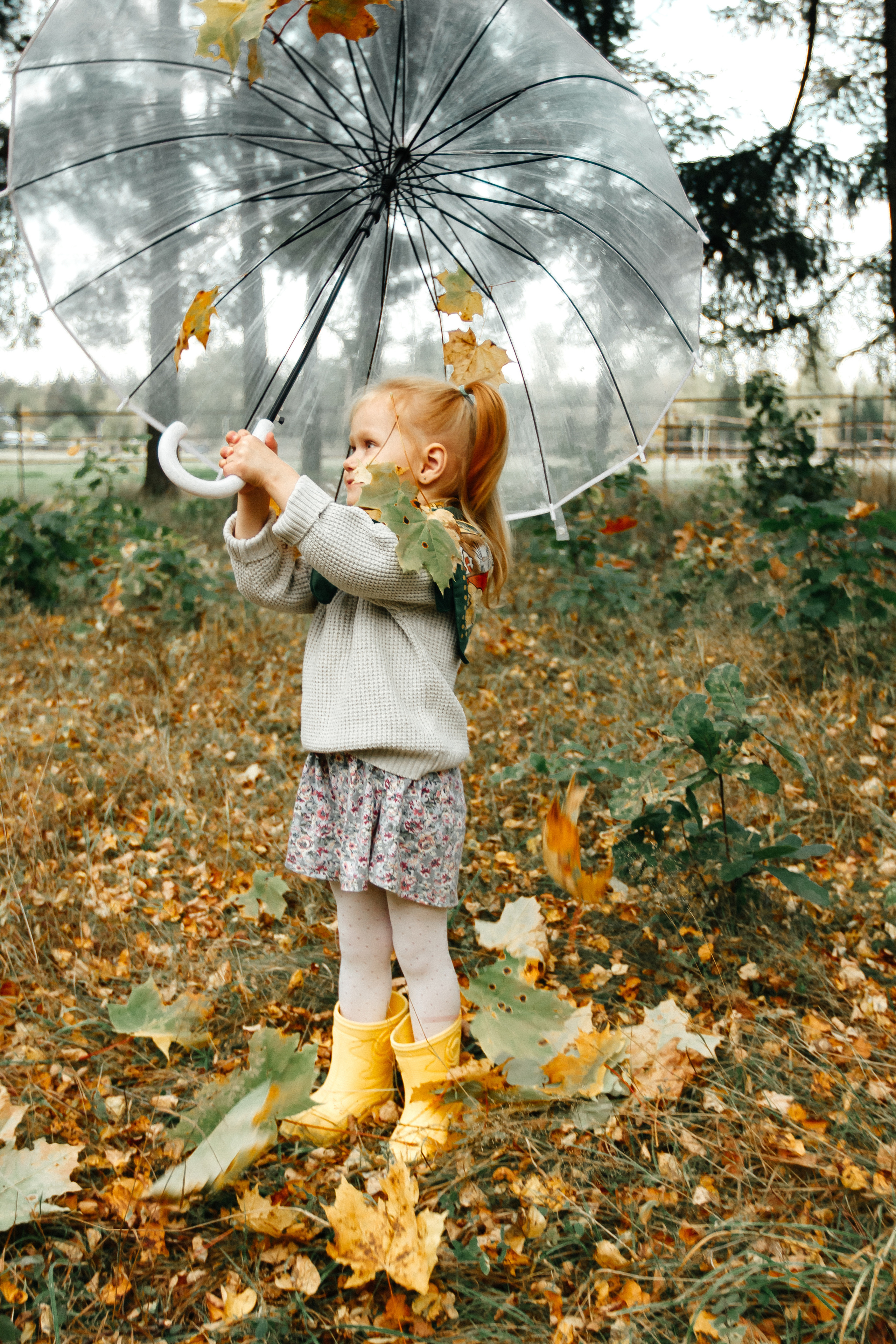 Осенняя прогулка. Колесникова Татьяна. Фотограф новорожденных Щёлково, Москва, Королев