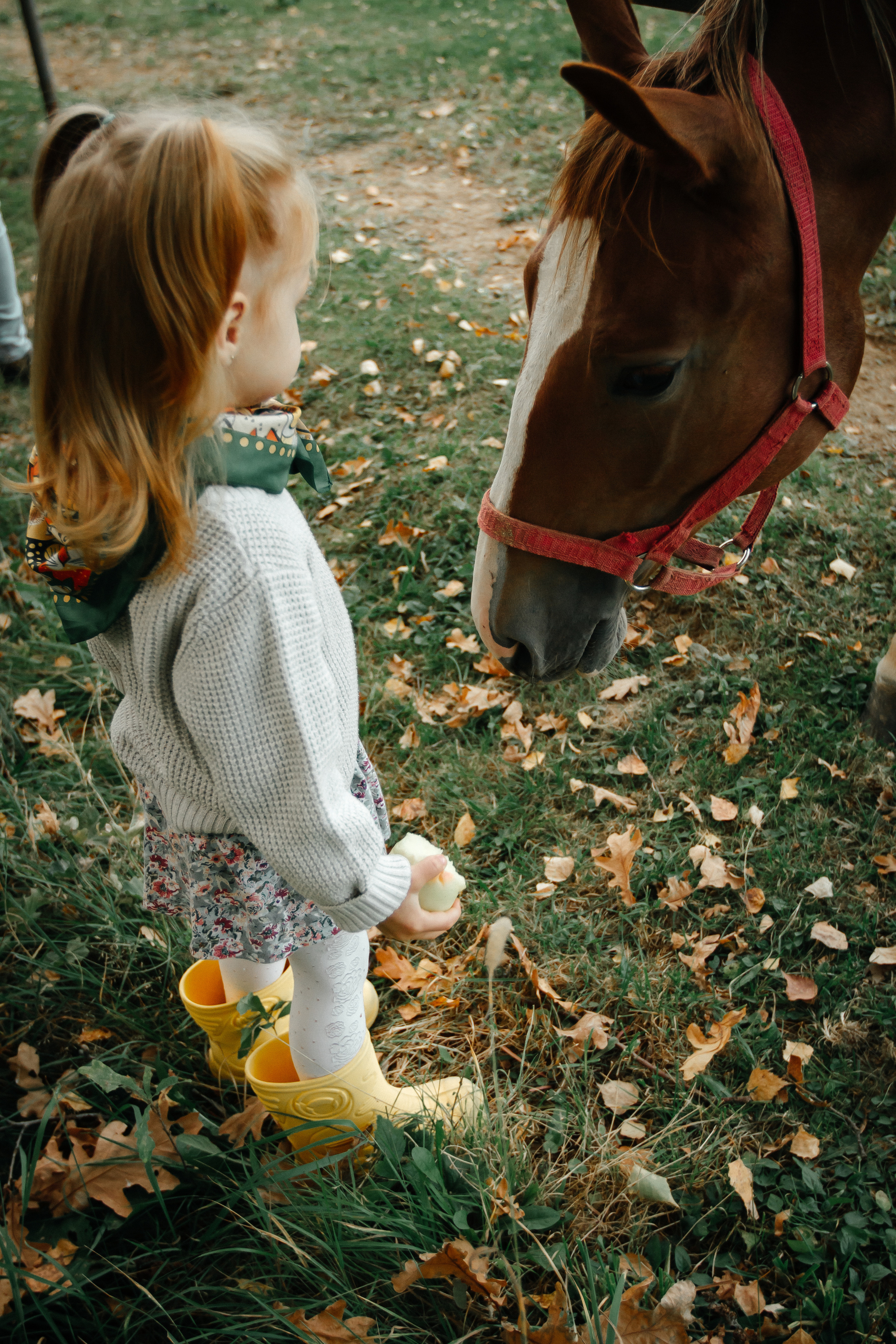Осенняя прогулка. Колесникова Татьяна. Фотограф новорожденных Щёлково, Москва, Королев