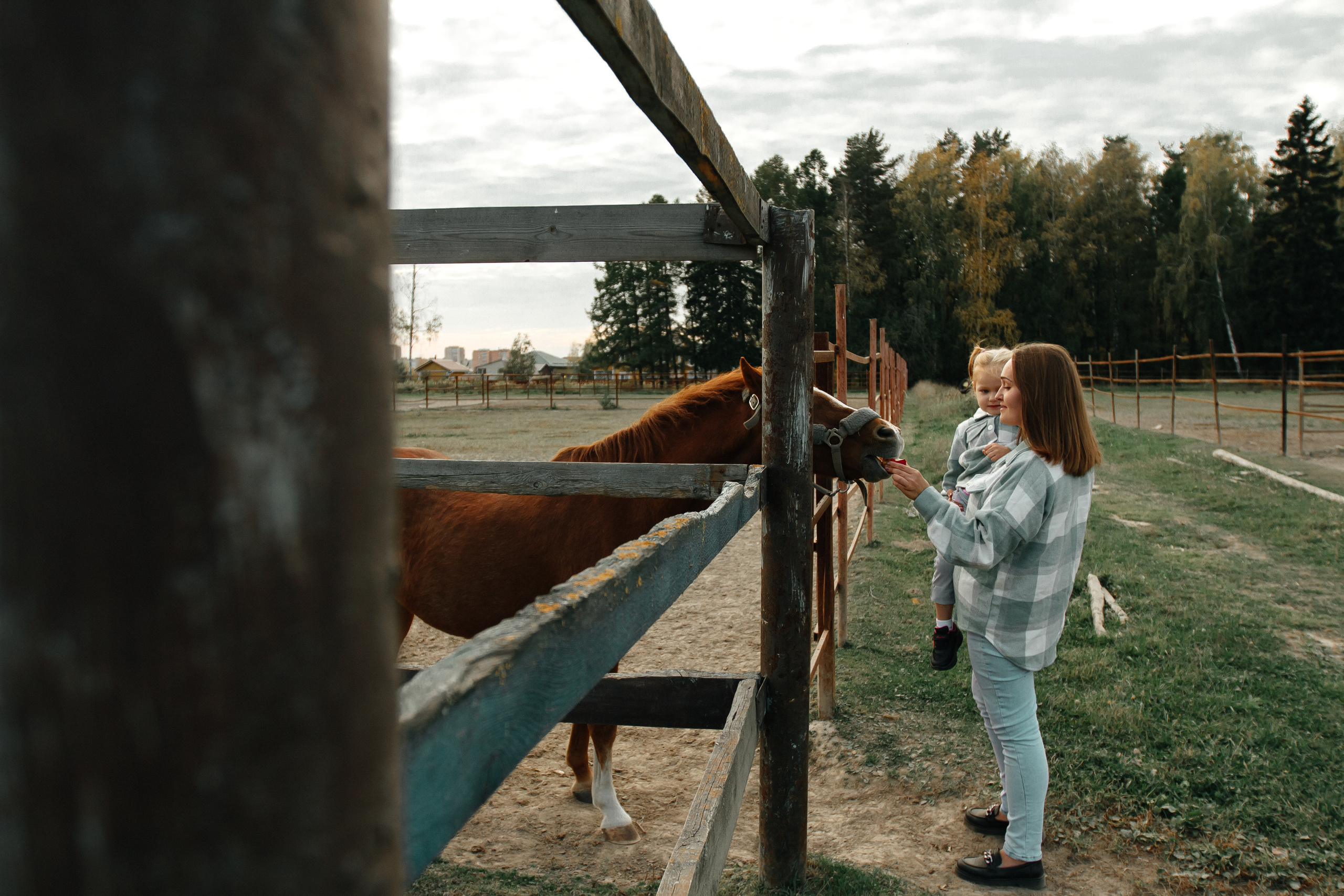 Осенняя прогулка. Колесникова Татьяна. Фотограф новорожденных Щёлково, Москва, Королев