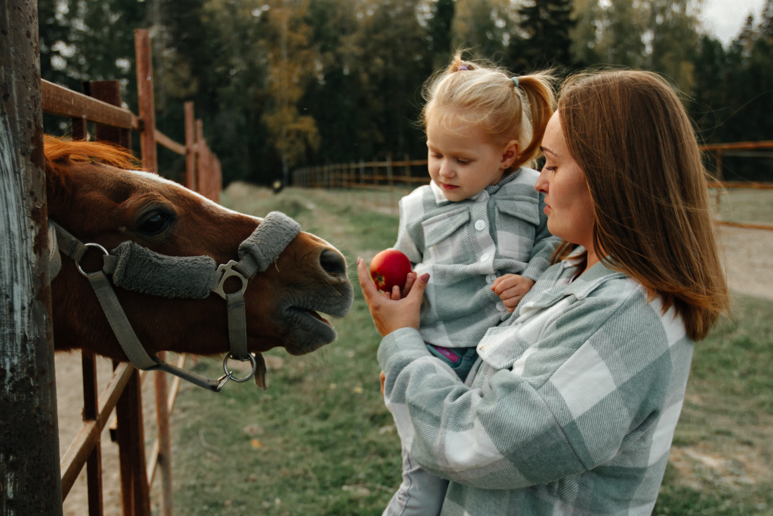 Осенняя прогулка. Колесникова Татьяна. Фотограф новорожденных Щёлково, Москва, Королев