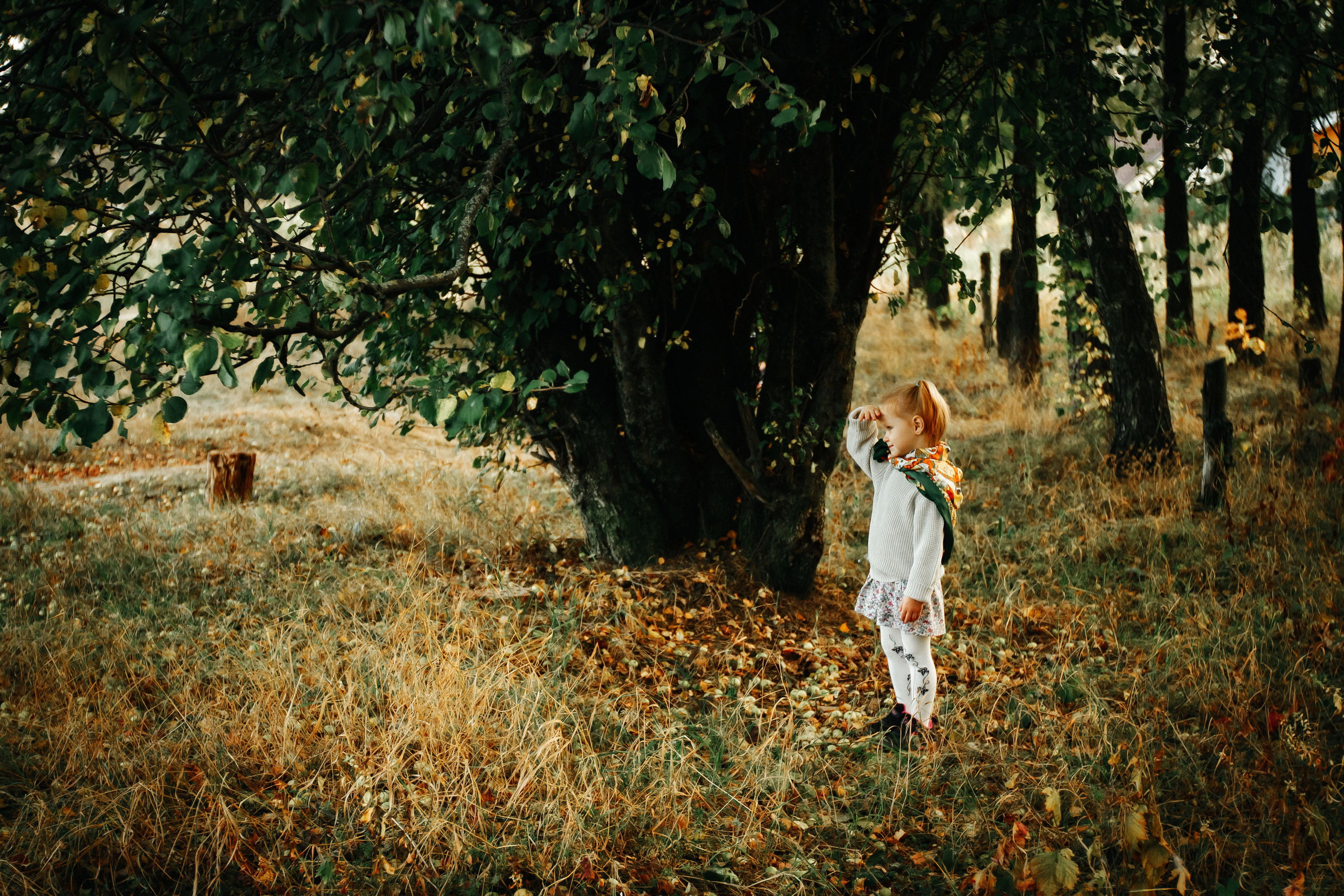 Осенняя прогулка. Колесникова Татьяна. Фотограф новорожденных Щёлково, Москва, Королев