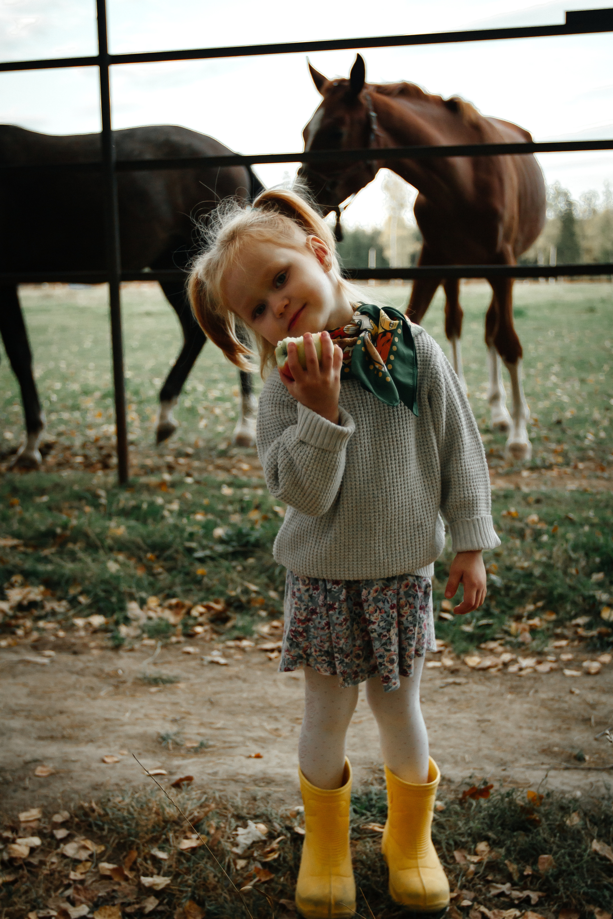 Осенняя прогулка. Колесникова Татьяна. Фотограф новорожденных Щёлково, Москва, Королев