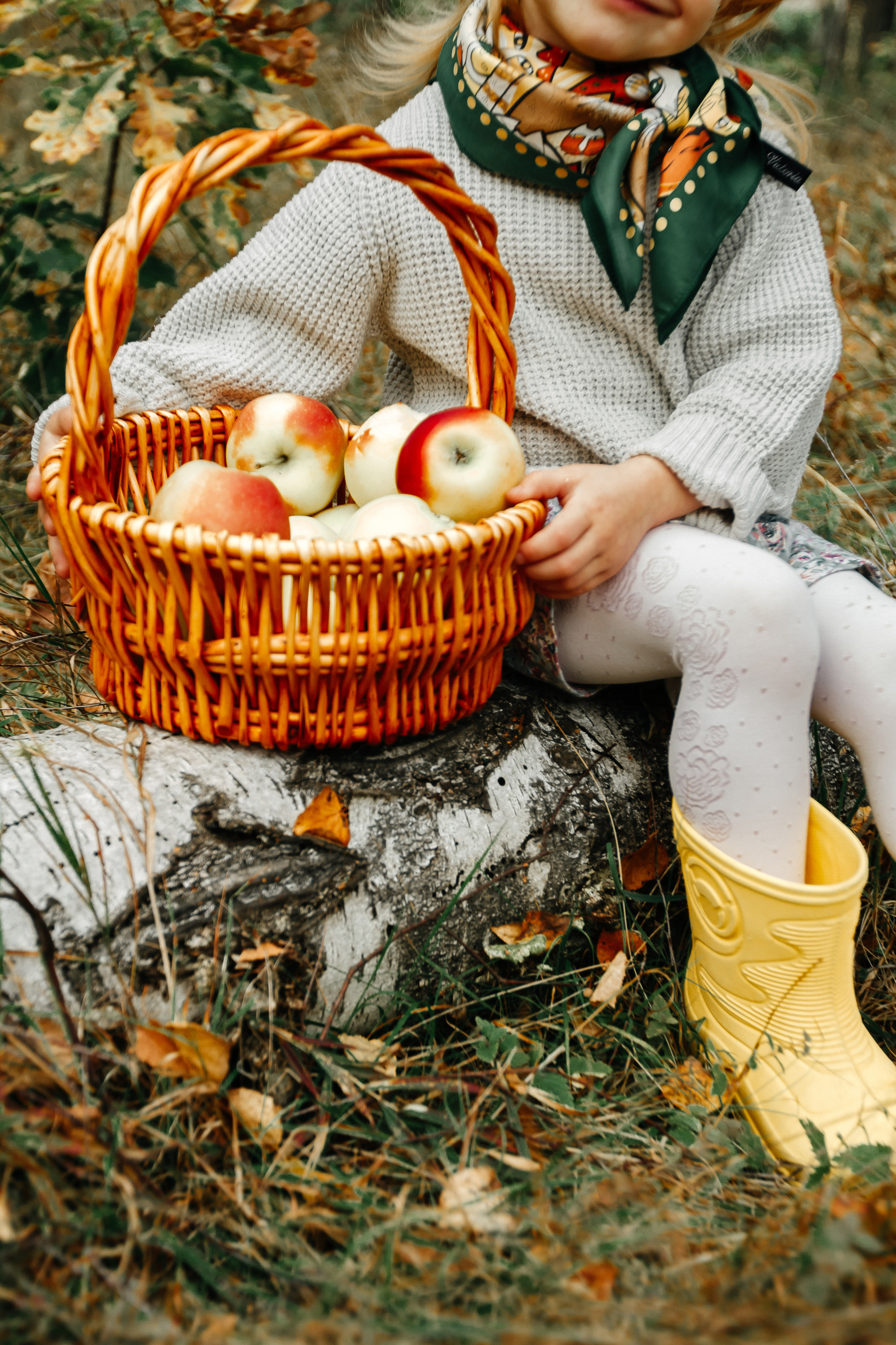 Осенняя прогулка. Колесникова Татьяна. Фотограф новорожденных Щёлково, Москва, Королев