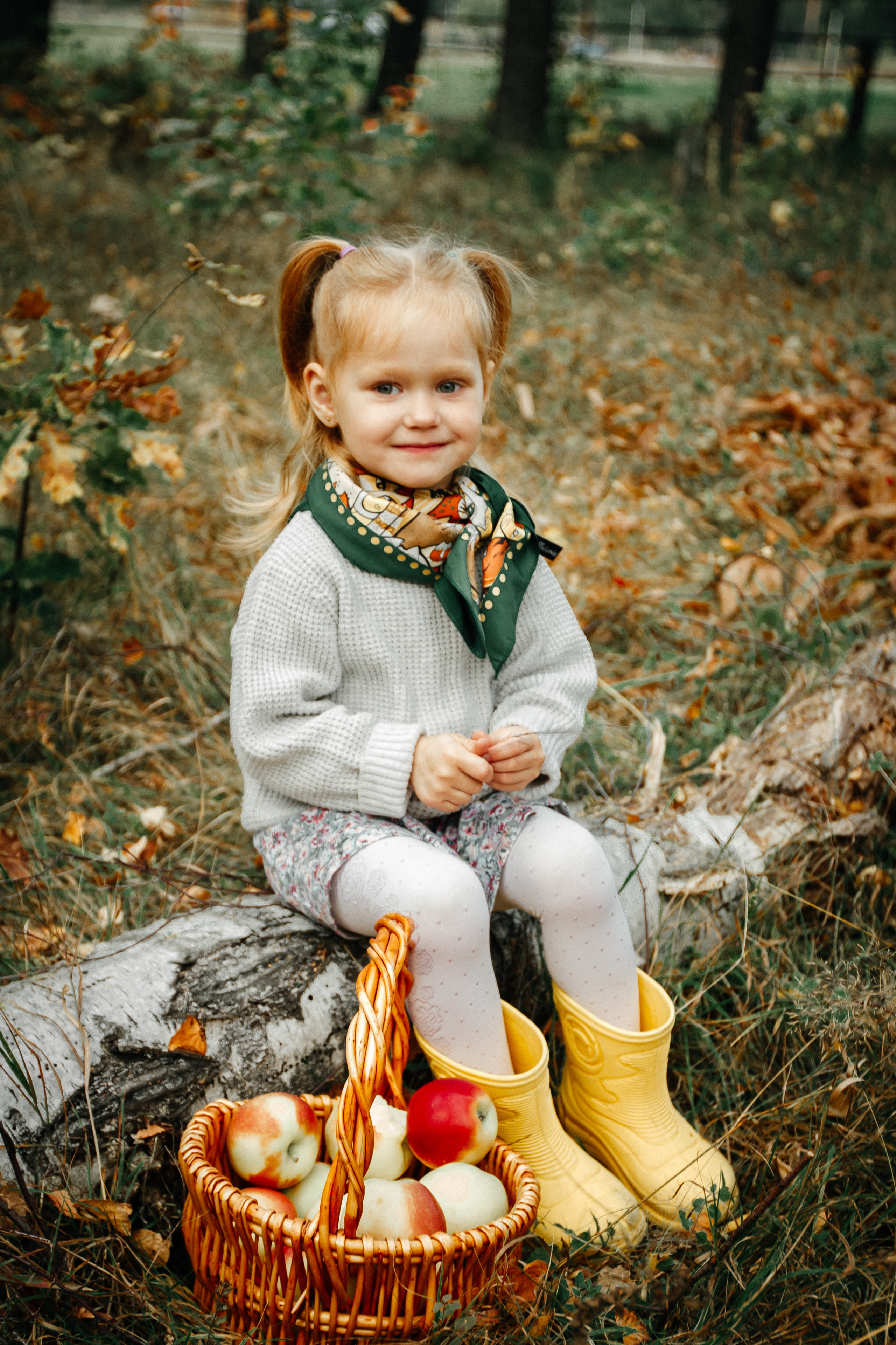 Осенняя прогулка. Колесникова Татьяна. Фотограф новорожденных Щёлково, Москва, Королев