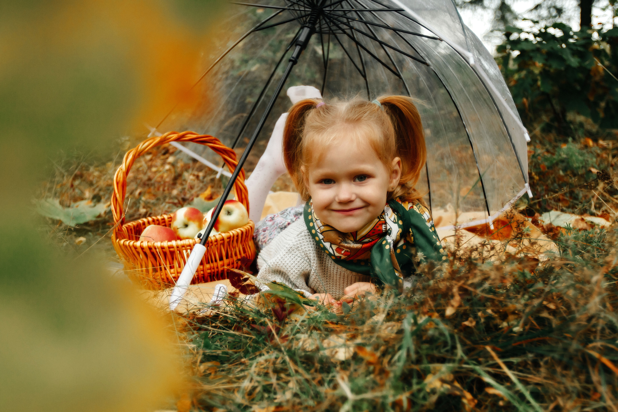 Осенняя прогулка. Колесникова Татьяна. Фотограф новорожденных Щёлково, Москва, Королев