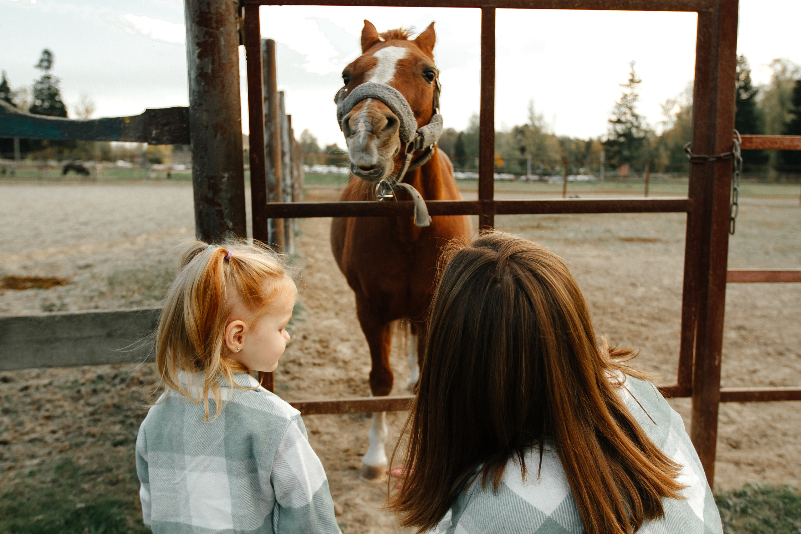 Осенняя прогулка. Колесникова Татьяна. Фотограф новорожденных Щёлково, Москва, Королев