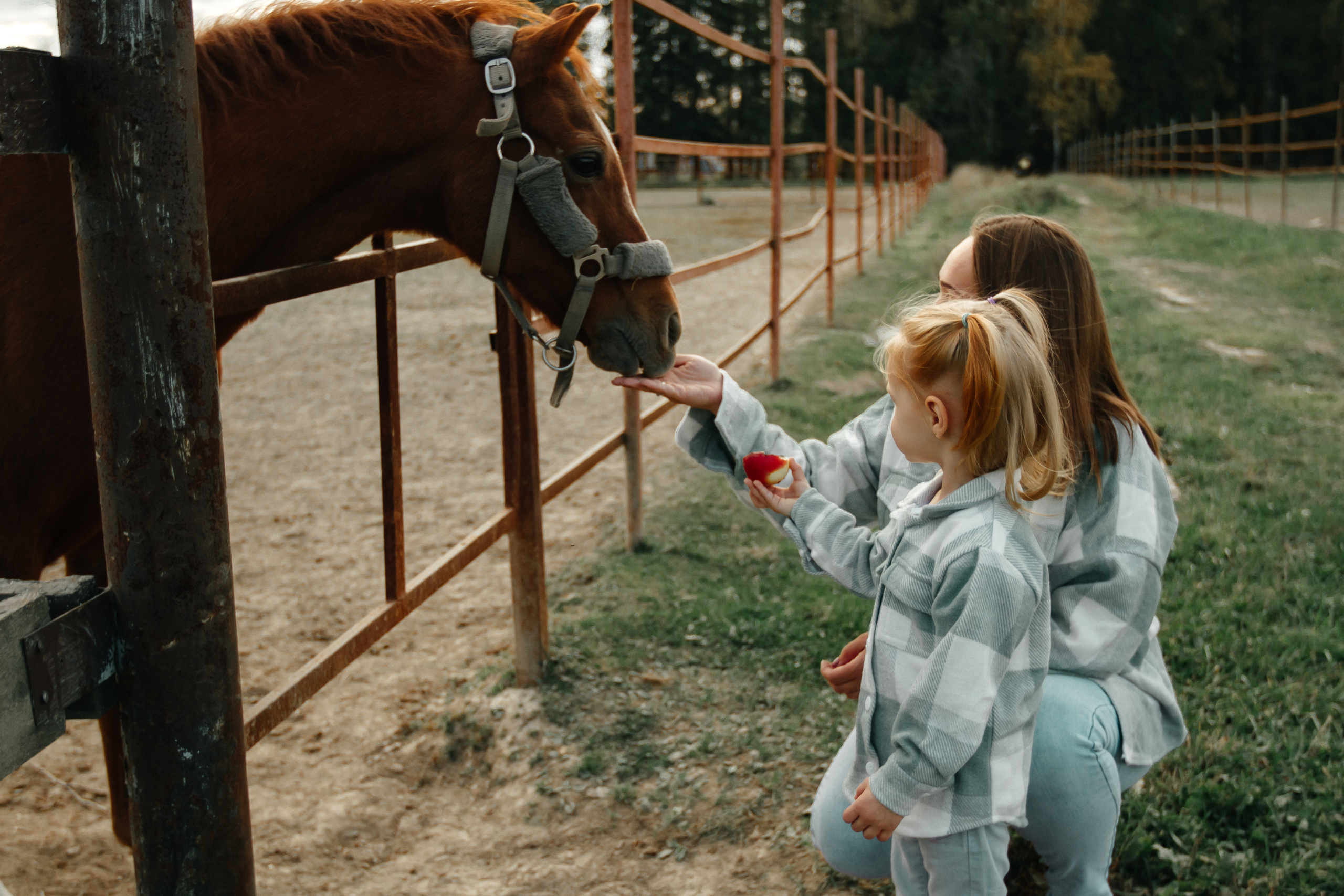 Осенняя прогулка. Колесникова Татьяна. Фотограф новорожденных Щёлково, Москва, Королев