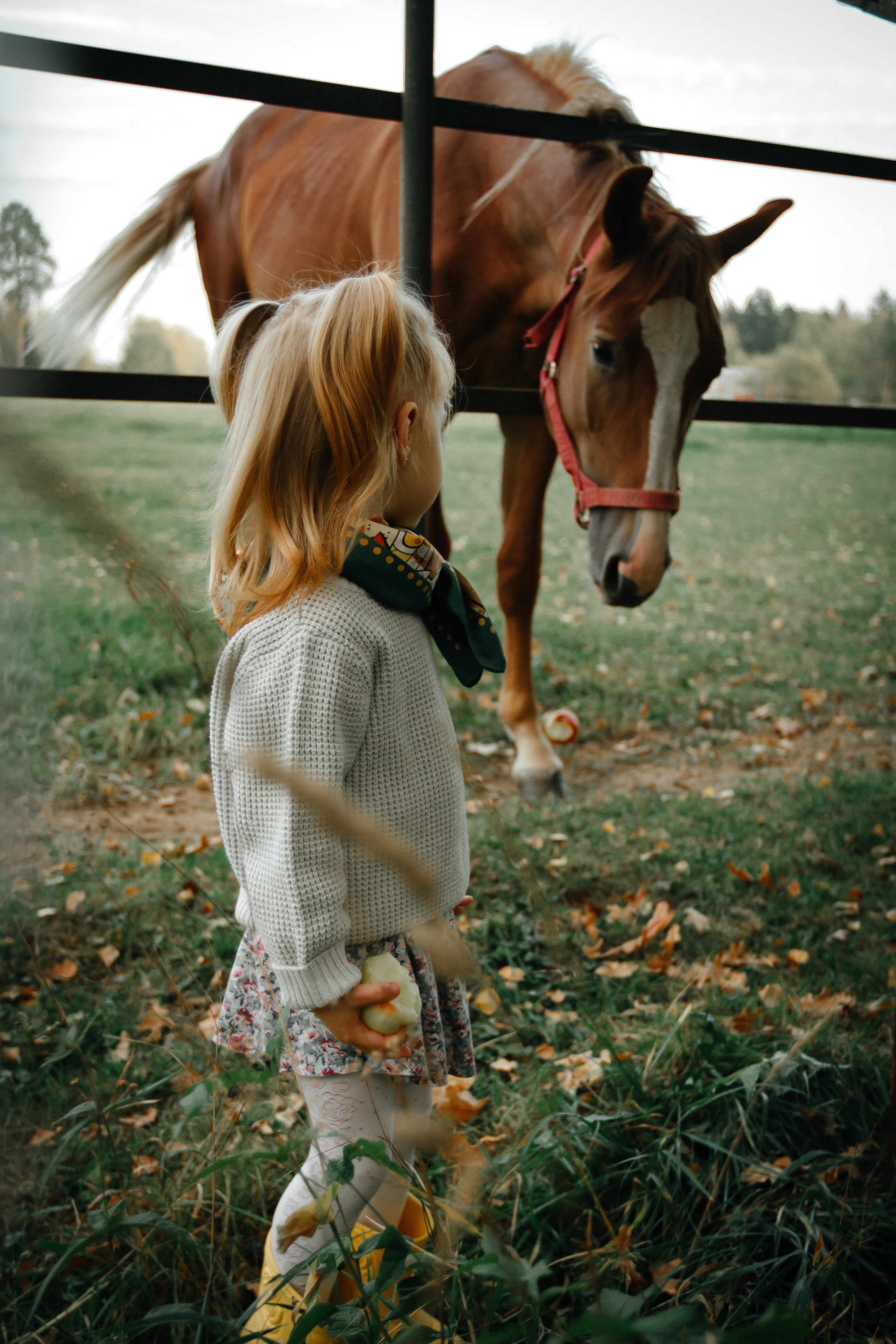 Осенняя прогулка. Колесникова Татьяна. Фотограф новорожденных Щёлково, Москва, Королев