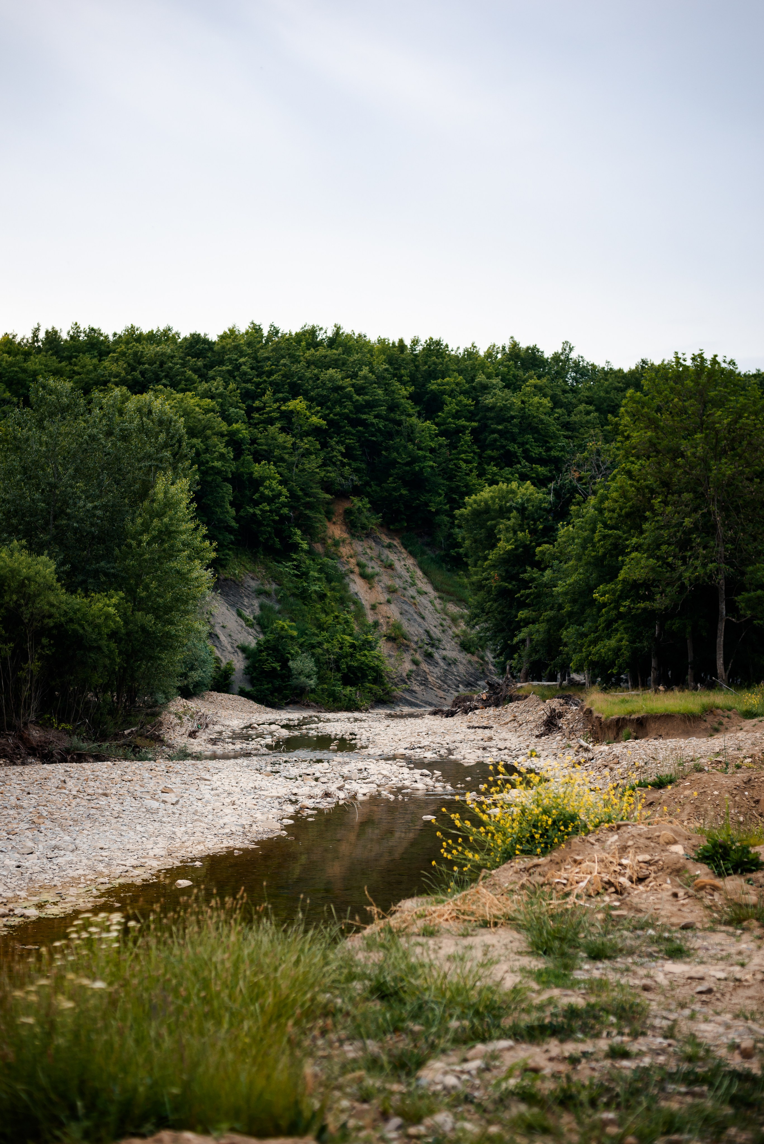 Фотосессия в горячем ключе женский портрет. Свадебный фотограф в Горячем Ключе Смирнова Дина