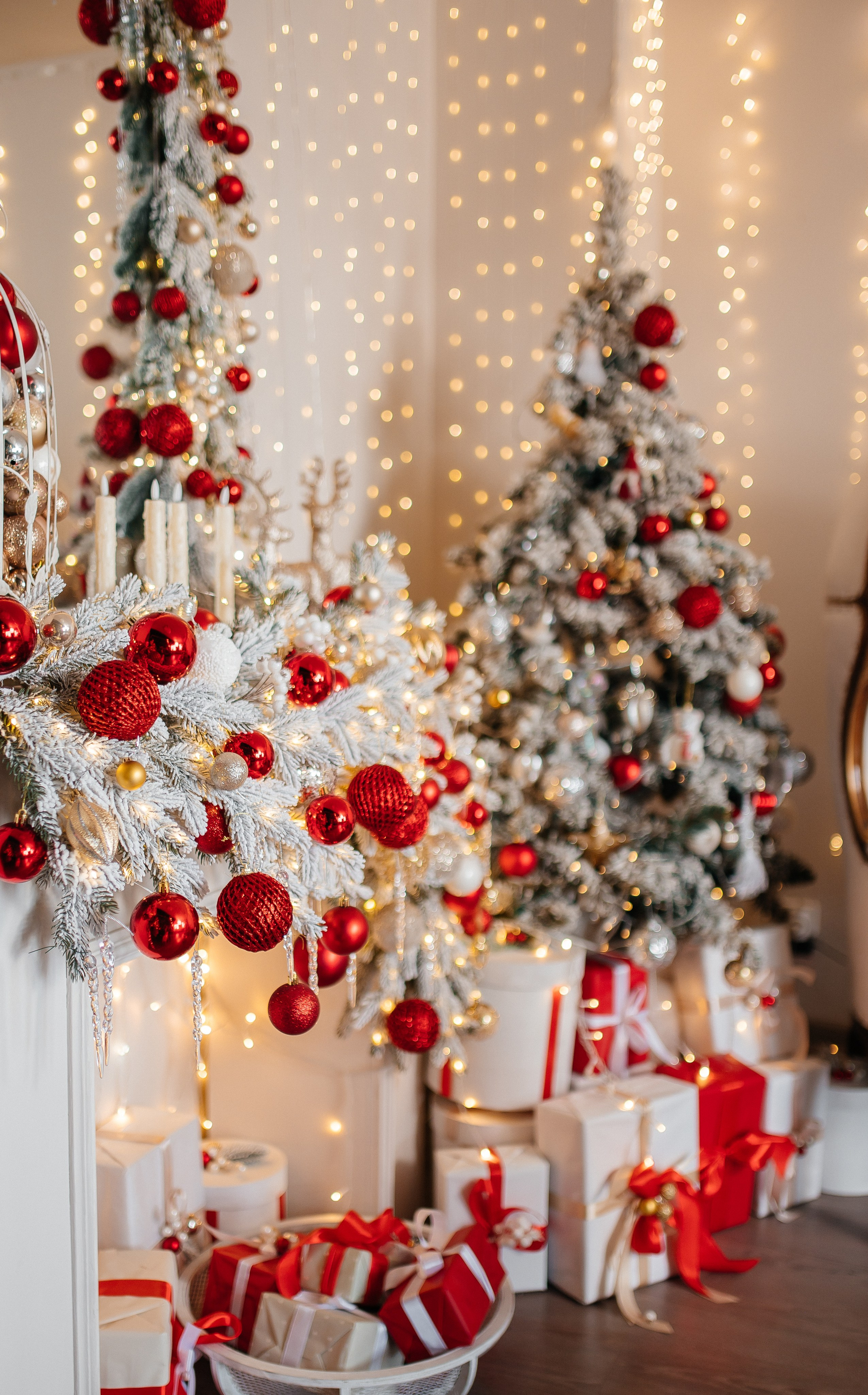 Look. Свадебный фотограф в новокузнецке